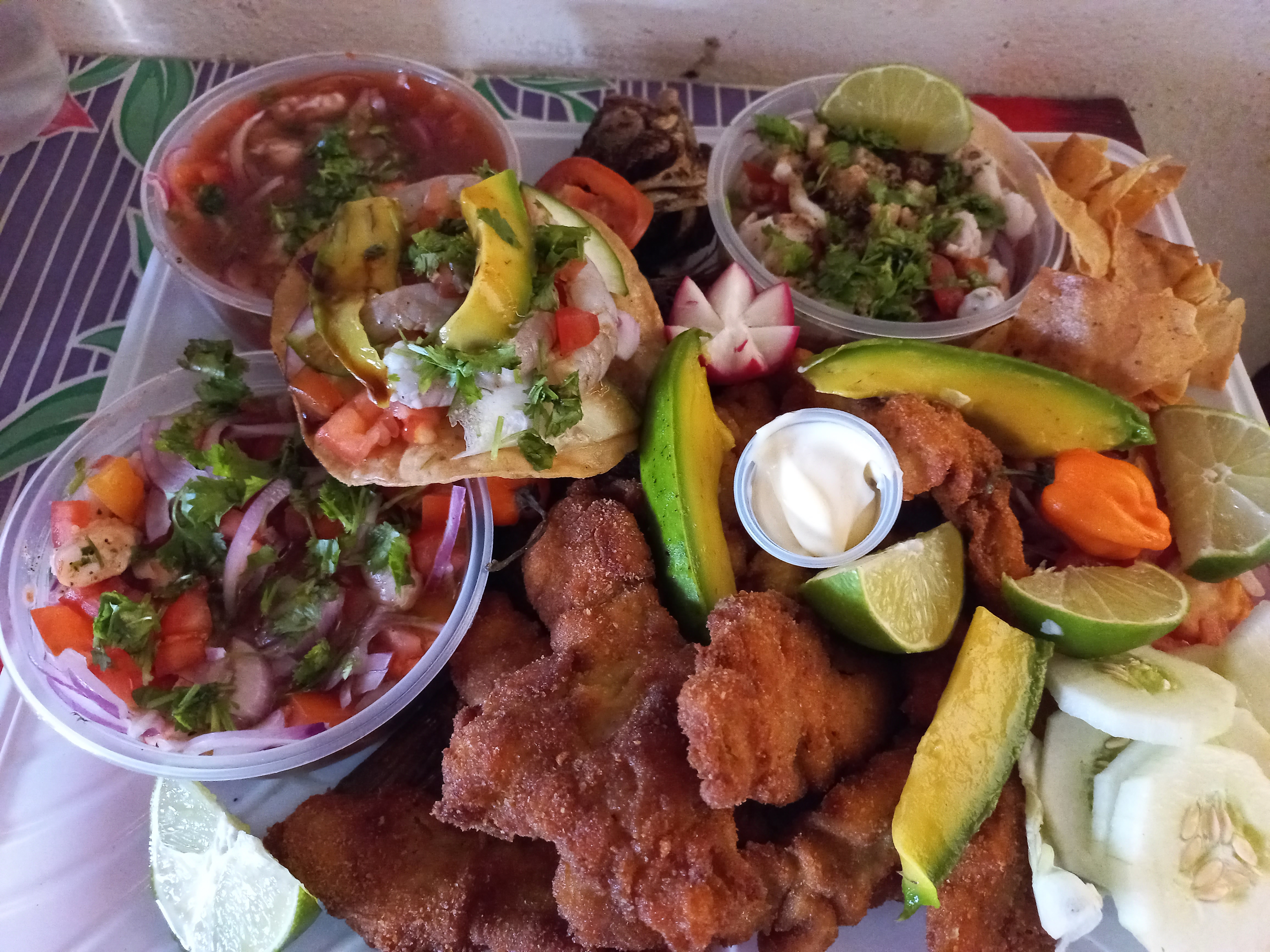 Pescaderia Mi Pequeño Delfin image 5