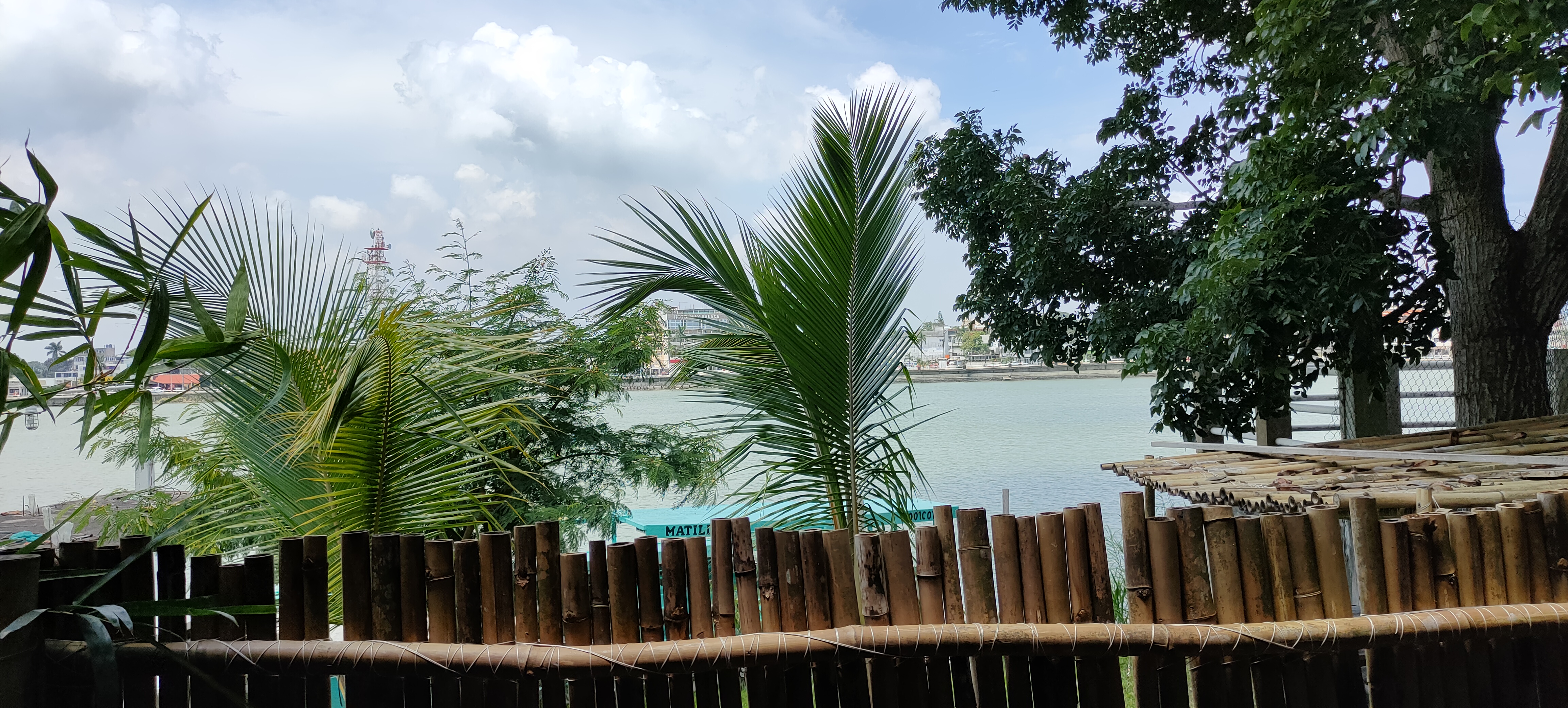 Cocteleria layo santiago de la peña image 6