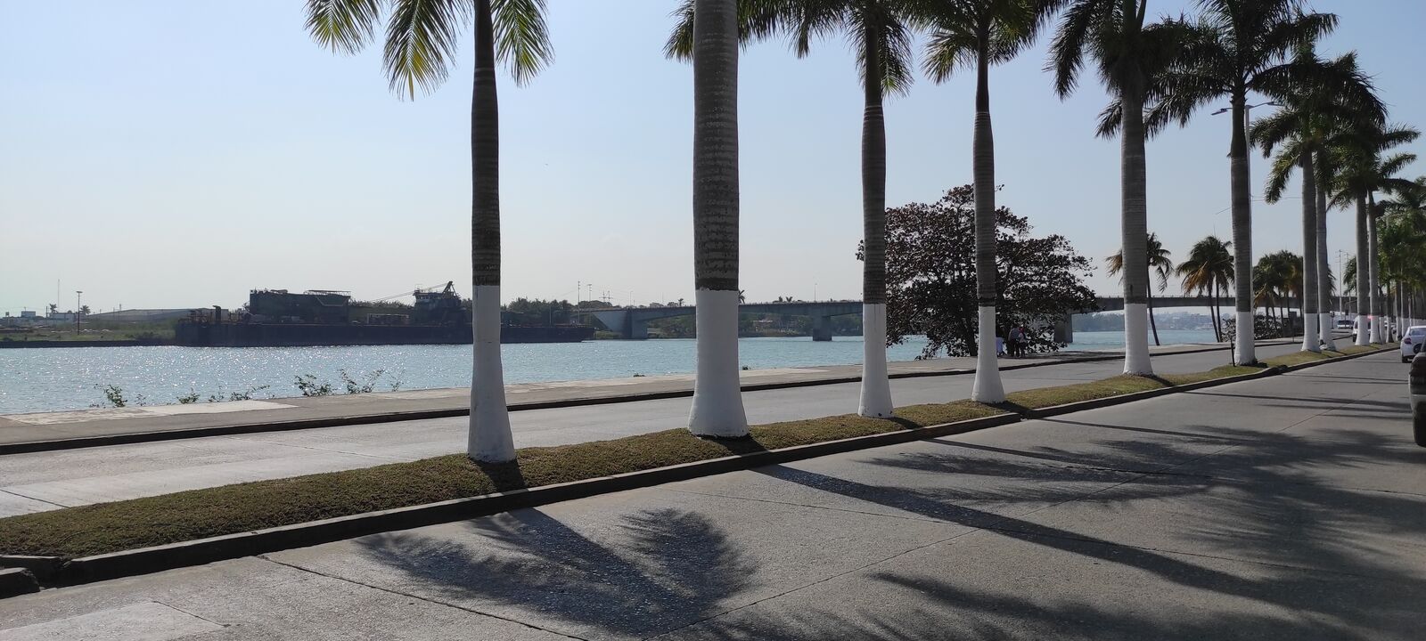 El Muelle de Paco image 3