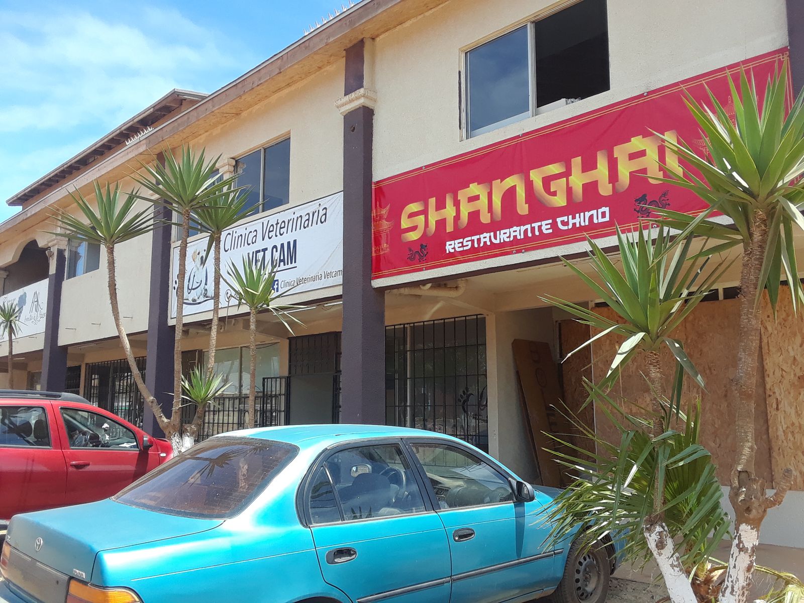 shanghai restaurante de comida china camalu image 1