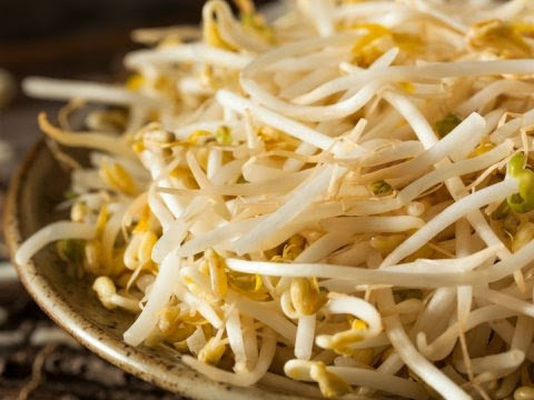 shanghai restaurante de comida china camalu image 5