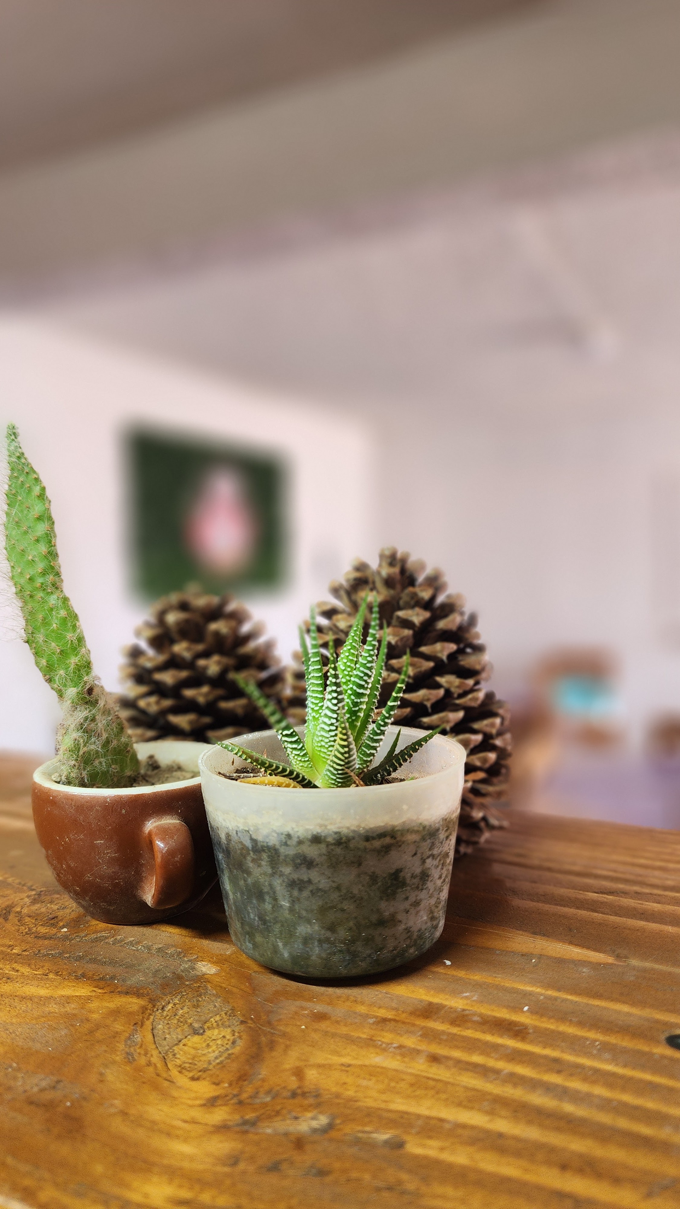 Carnitas y asados el Lukas image 10