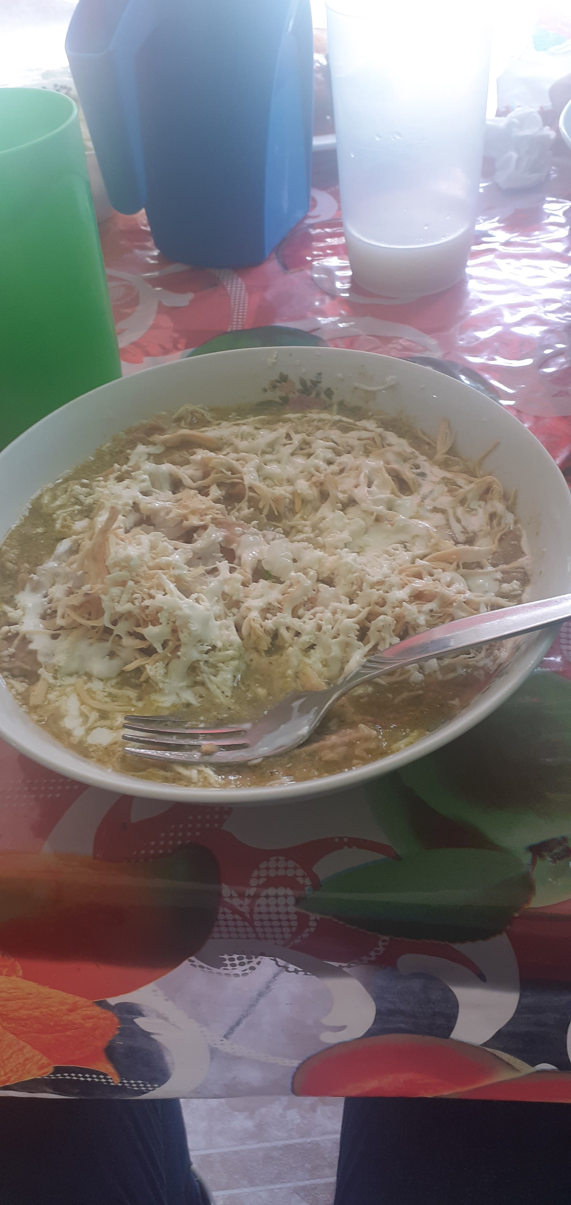 Loncheria Mimi image 3