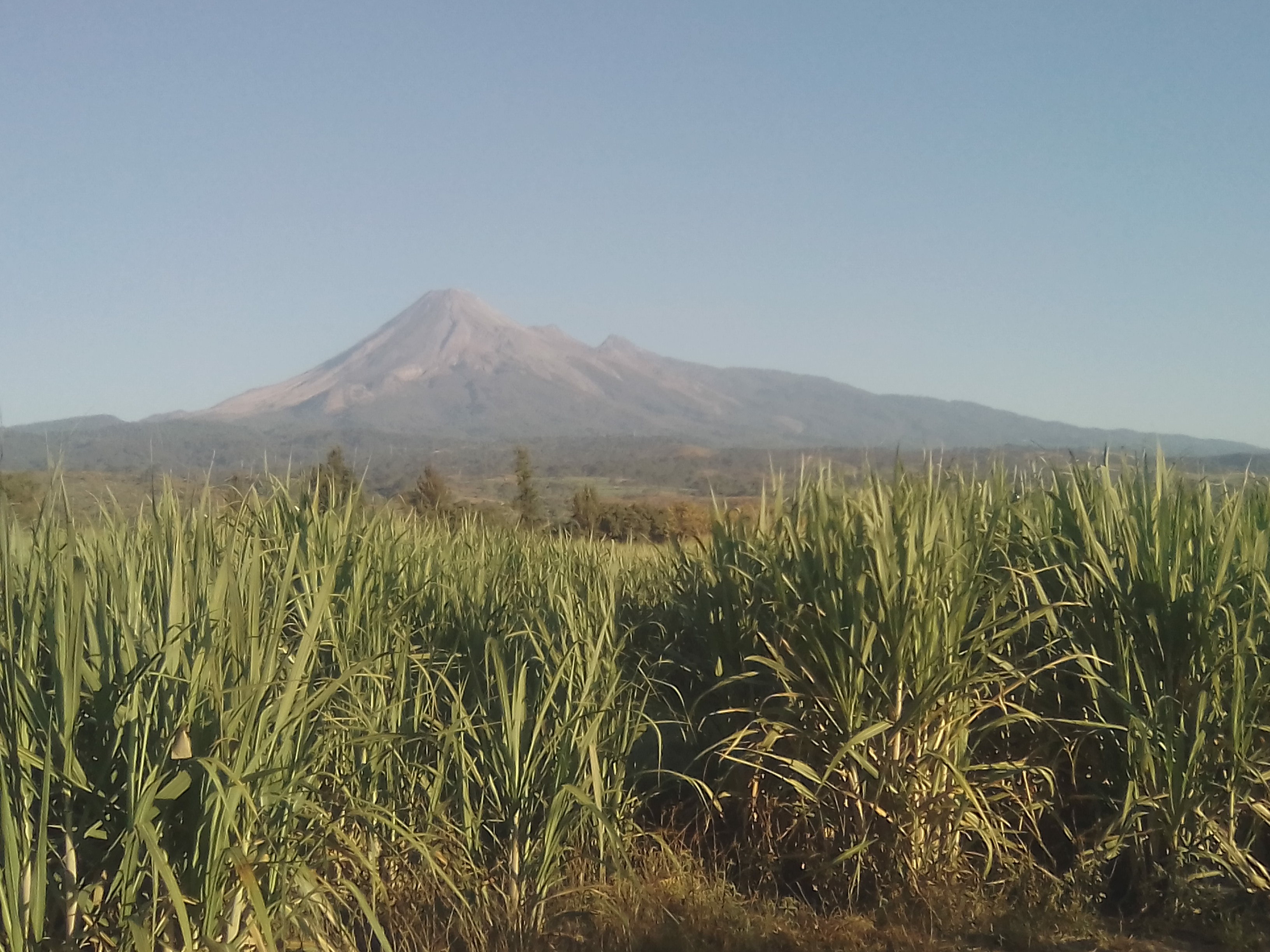 Hamburguesas Al Carbon "El Rey" image 5