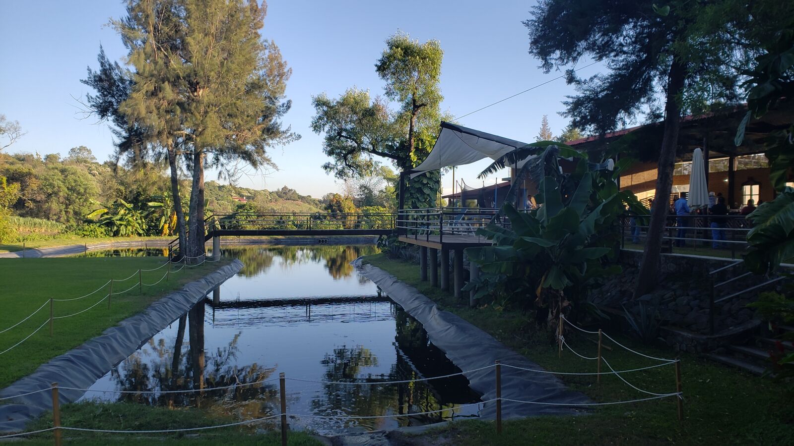 La zarza image 2