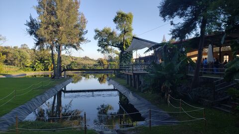 La zarza image 2