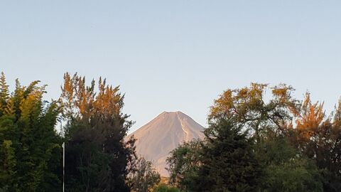 La zarza image 3