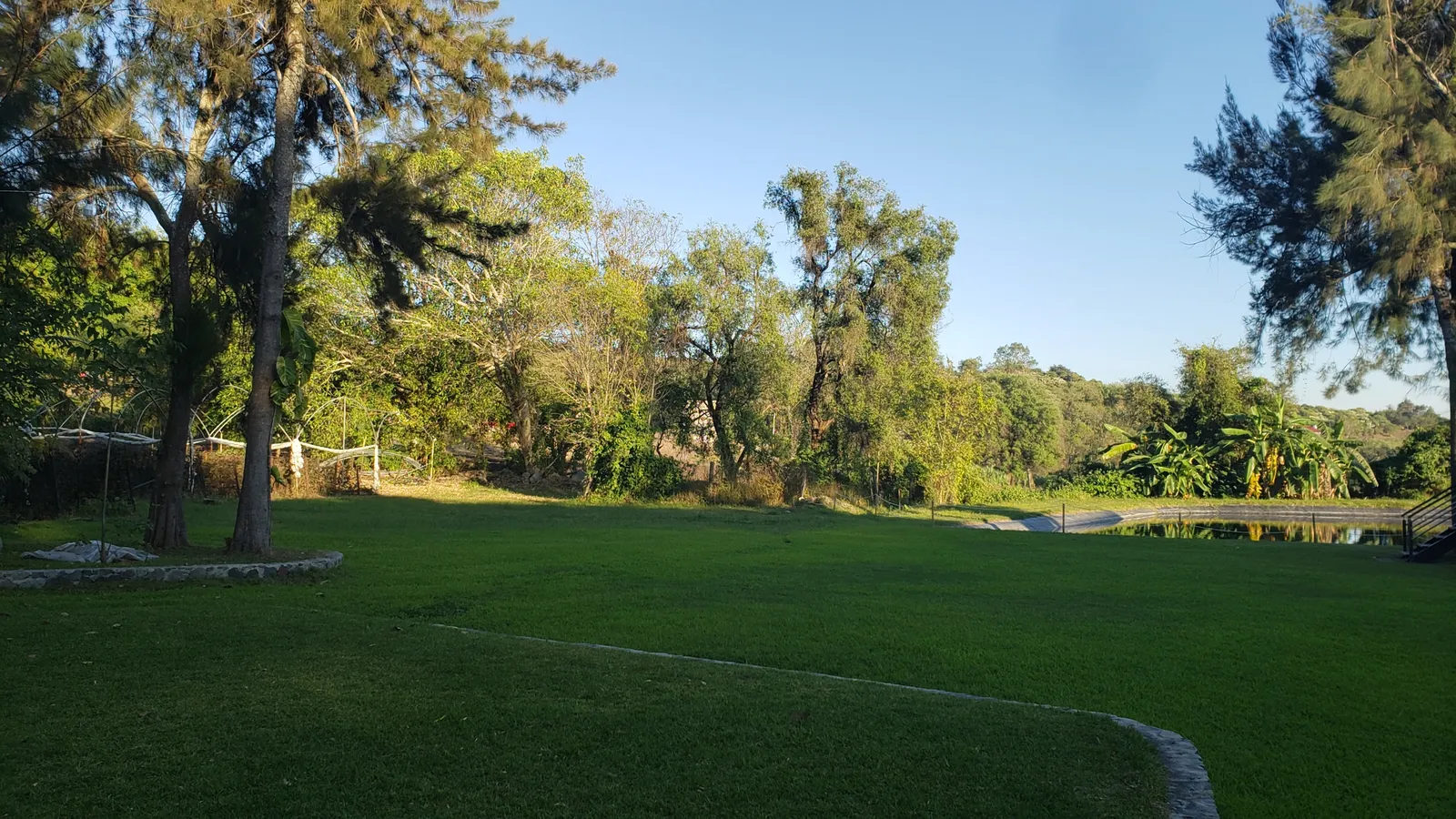La zarza image 8