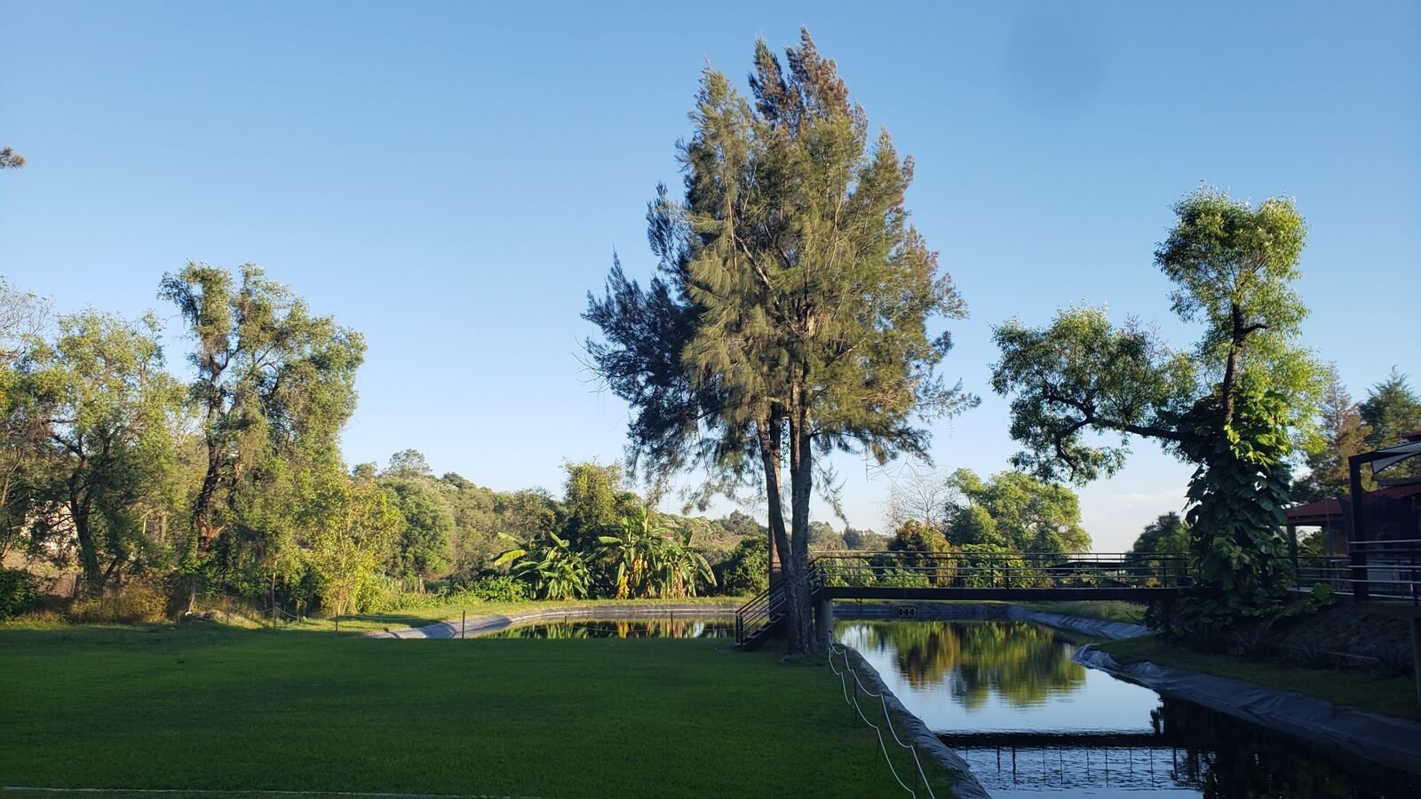 La zarza image 10