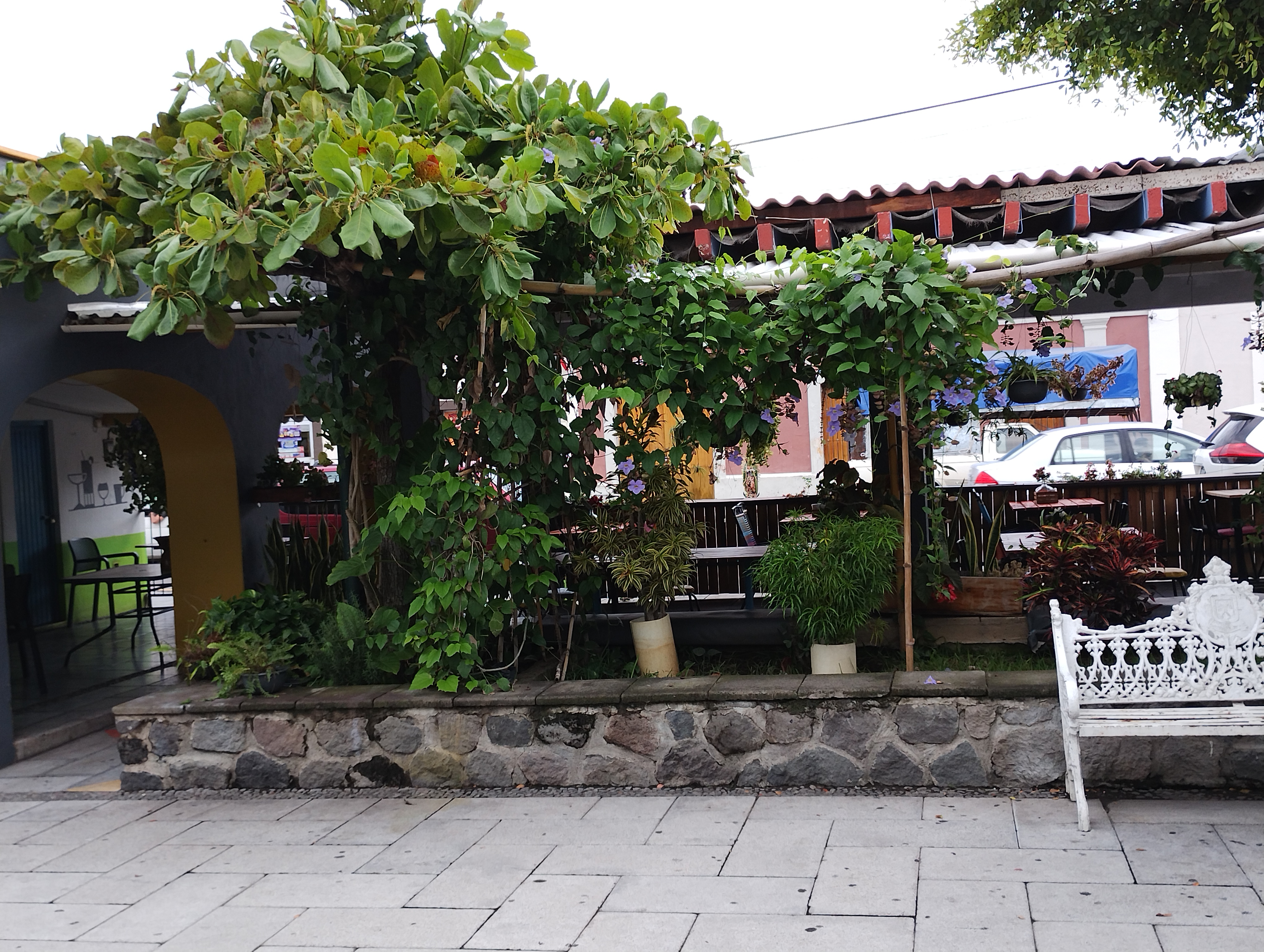 La Pimienta el sabor de la cocina image 4