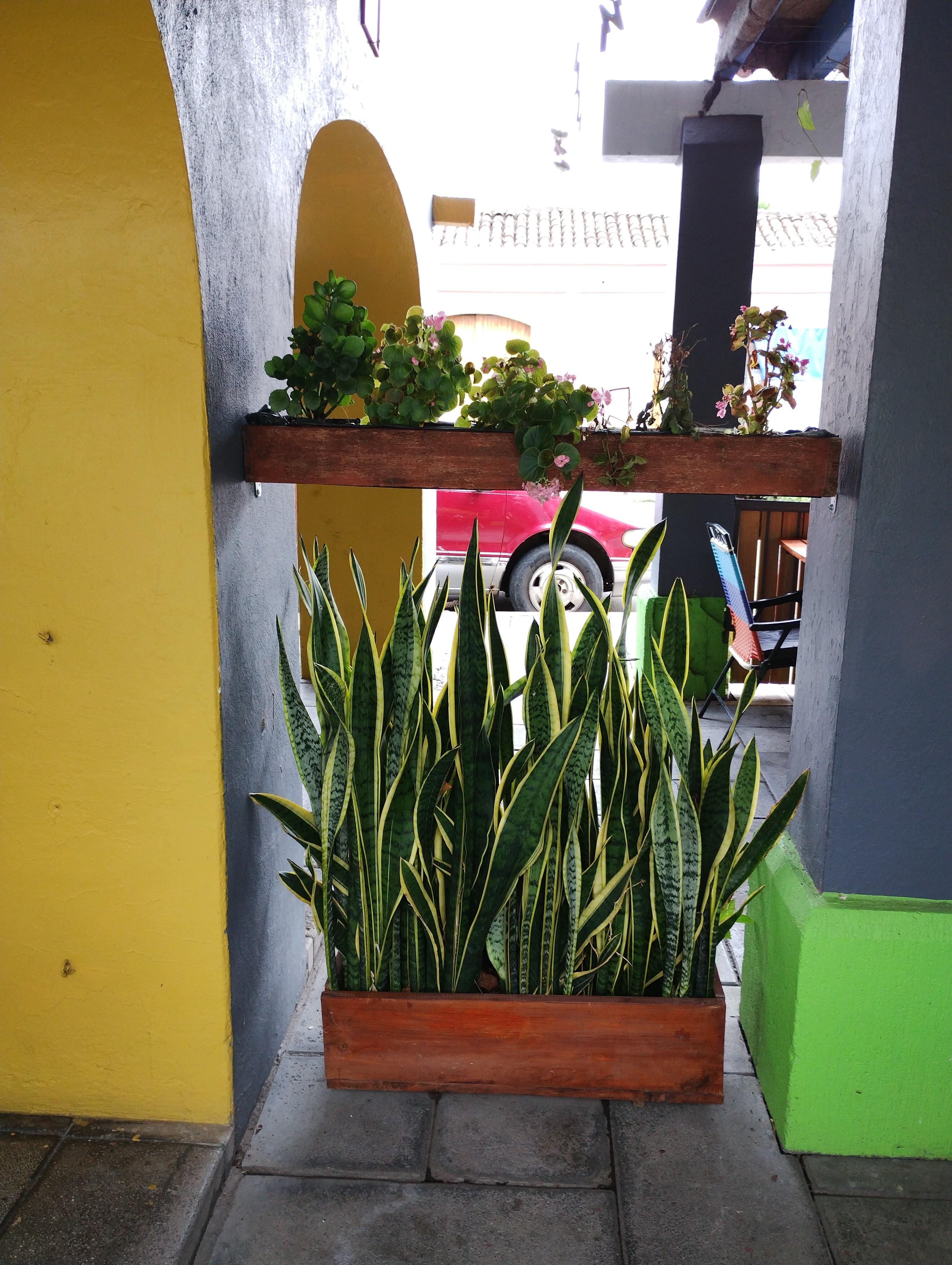 La Pimienta el sabor de la cocina image 7