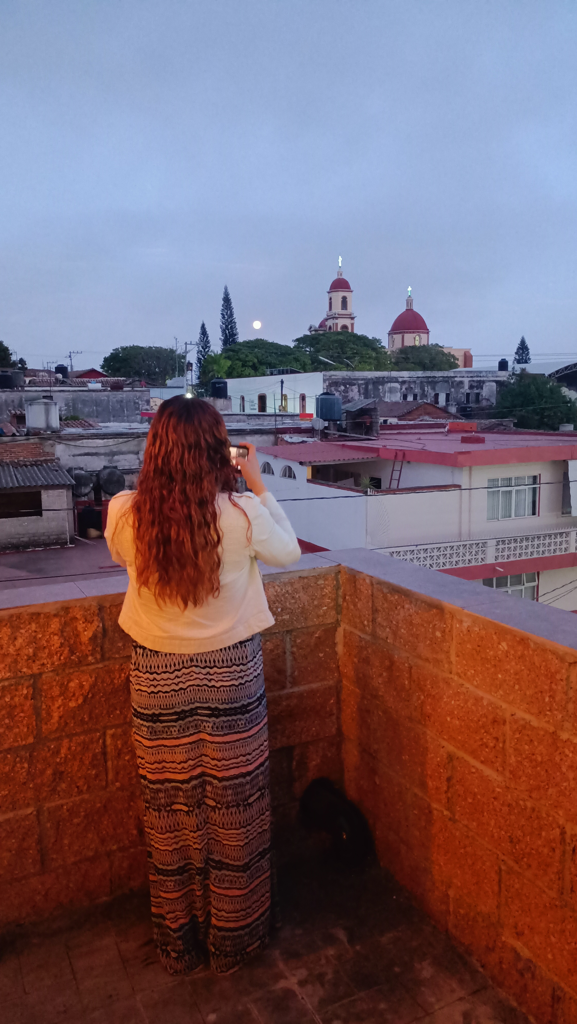 Ichigo Sushi Boutique image 10