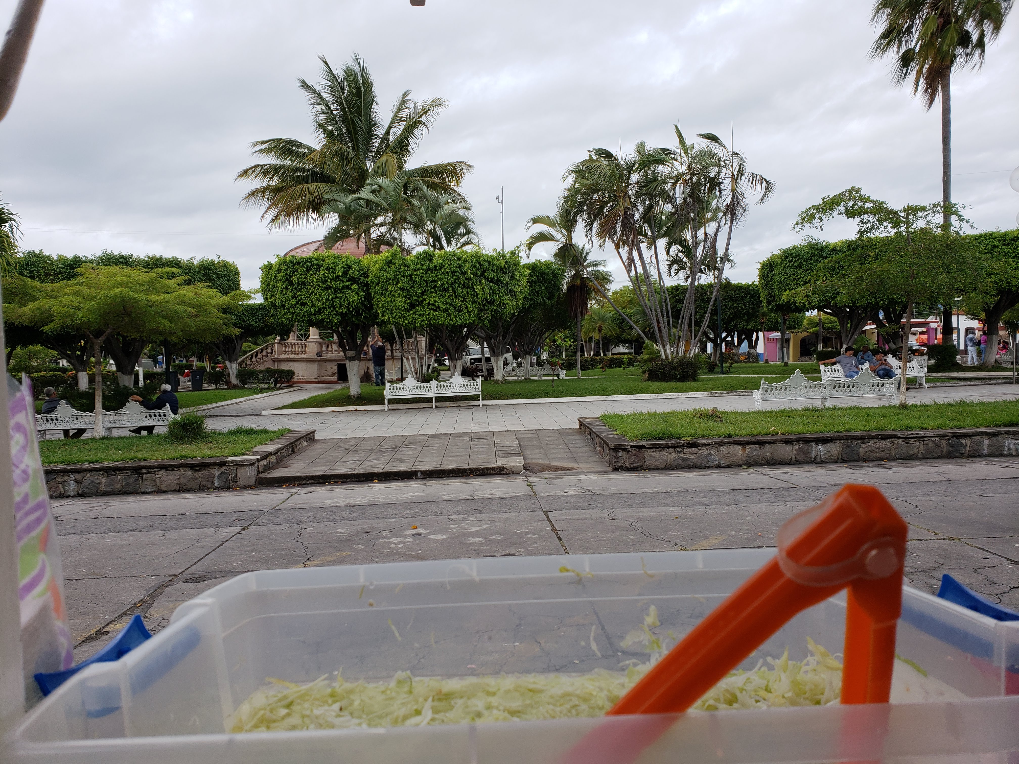 Tacos tuxpeños meche image 2