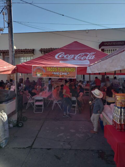 Tacos tuxpeños meche image 3