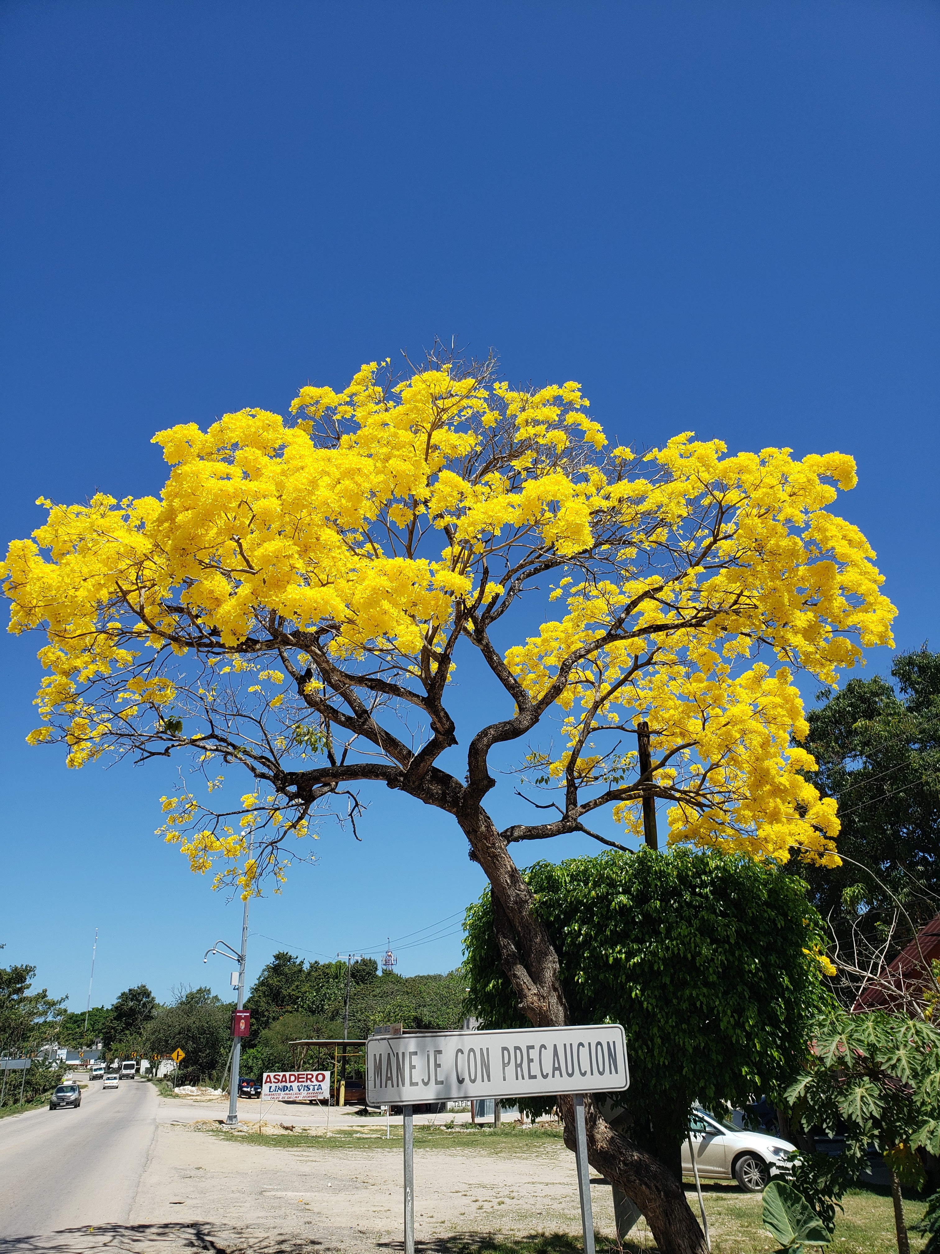 Fran's Wings image 9