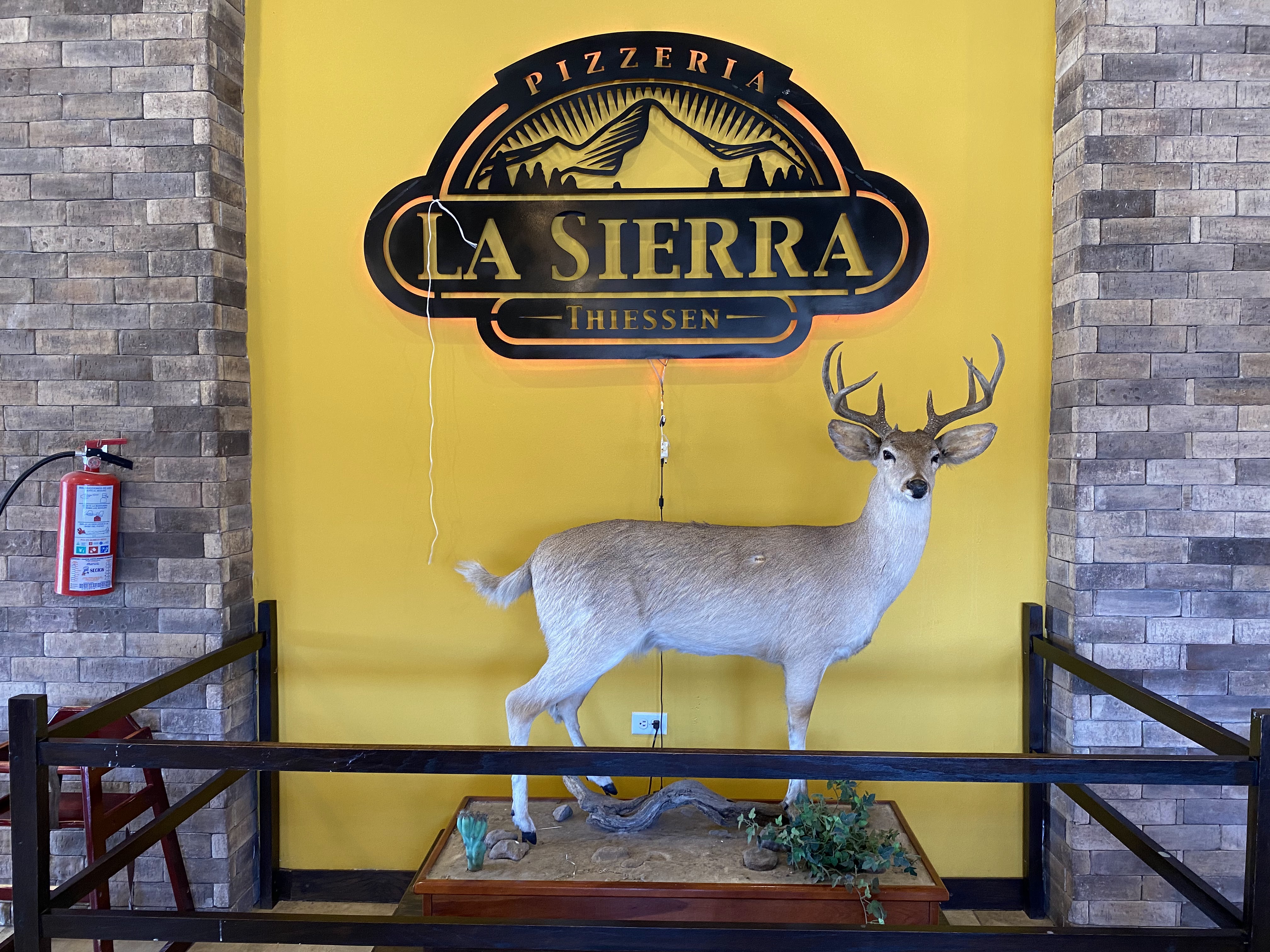 PIZZERÍA LA SIERRA image 3