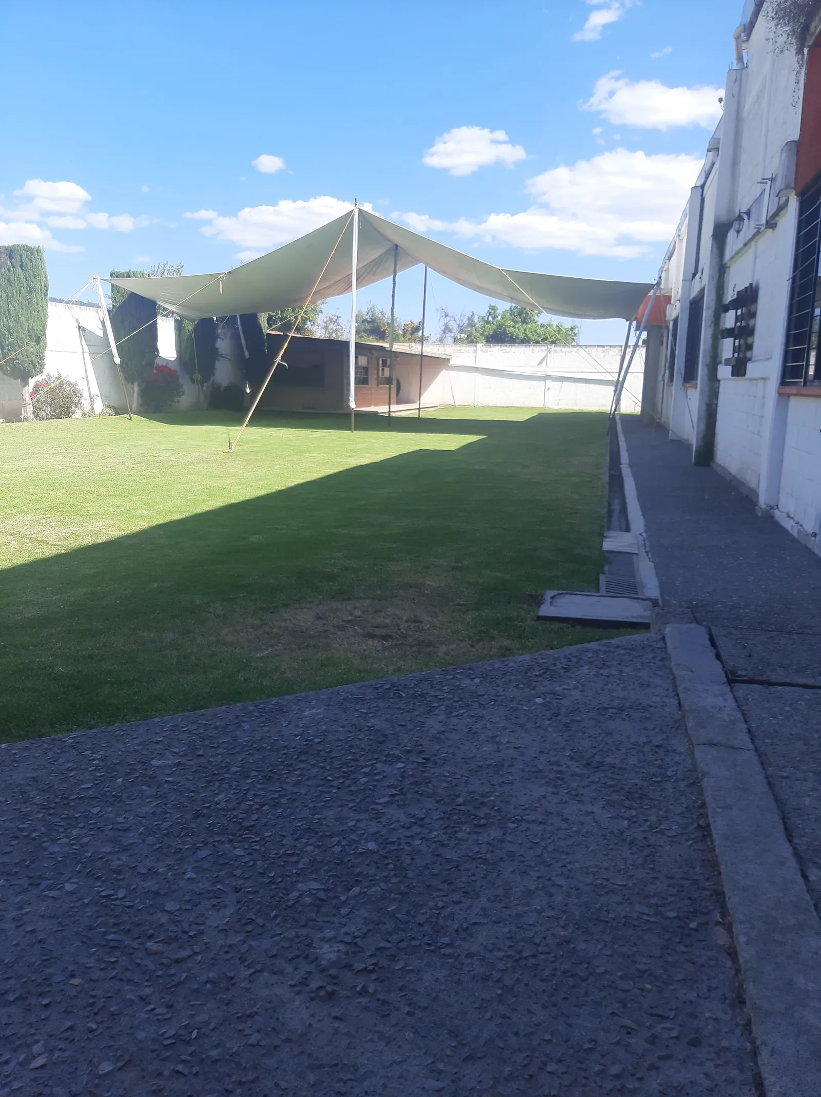 Salon Jardin Los Cisnes image 5
