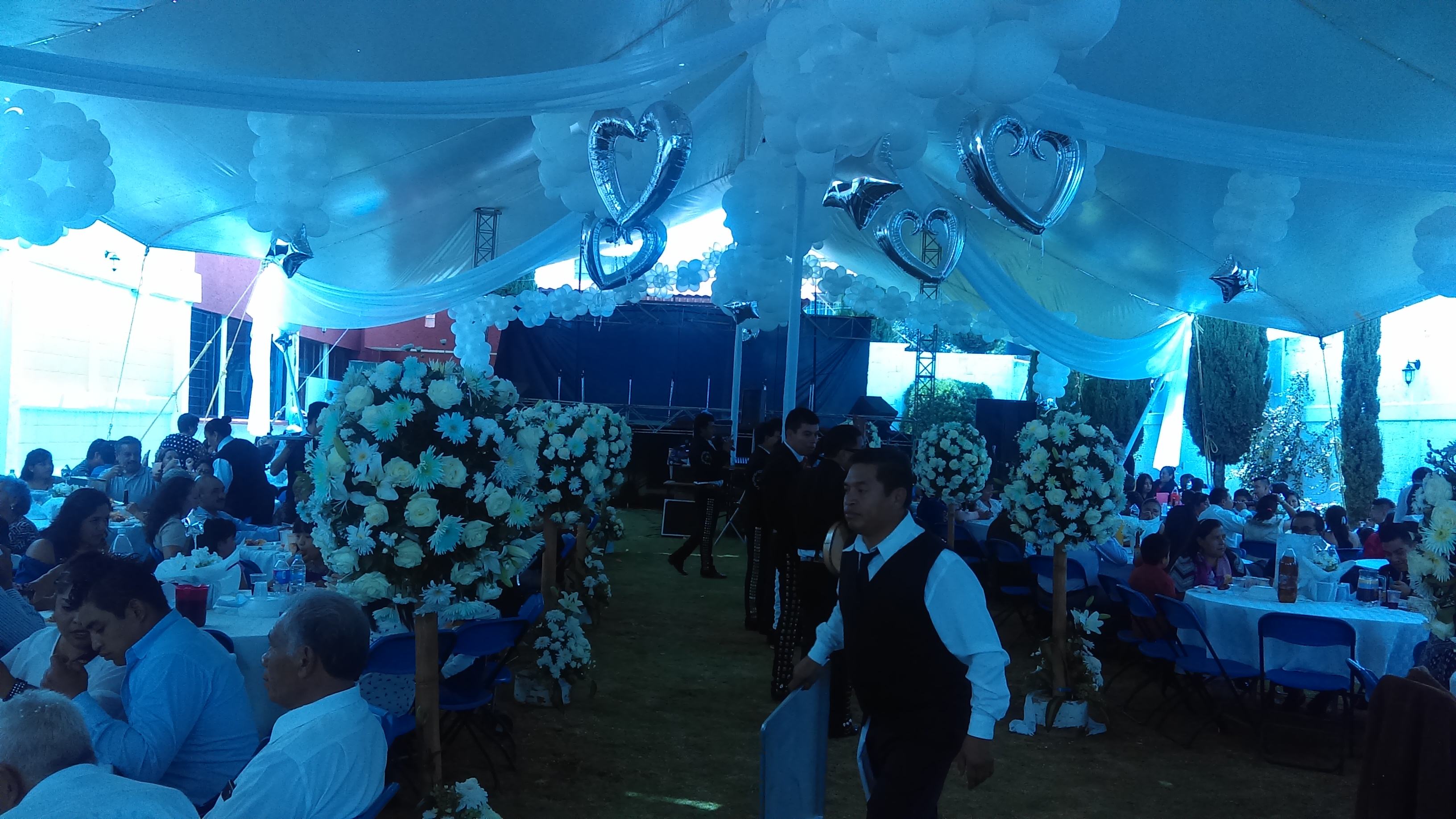 Salon Jardin Los Cisnes image 6