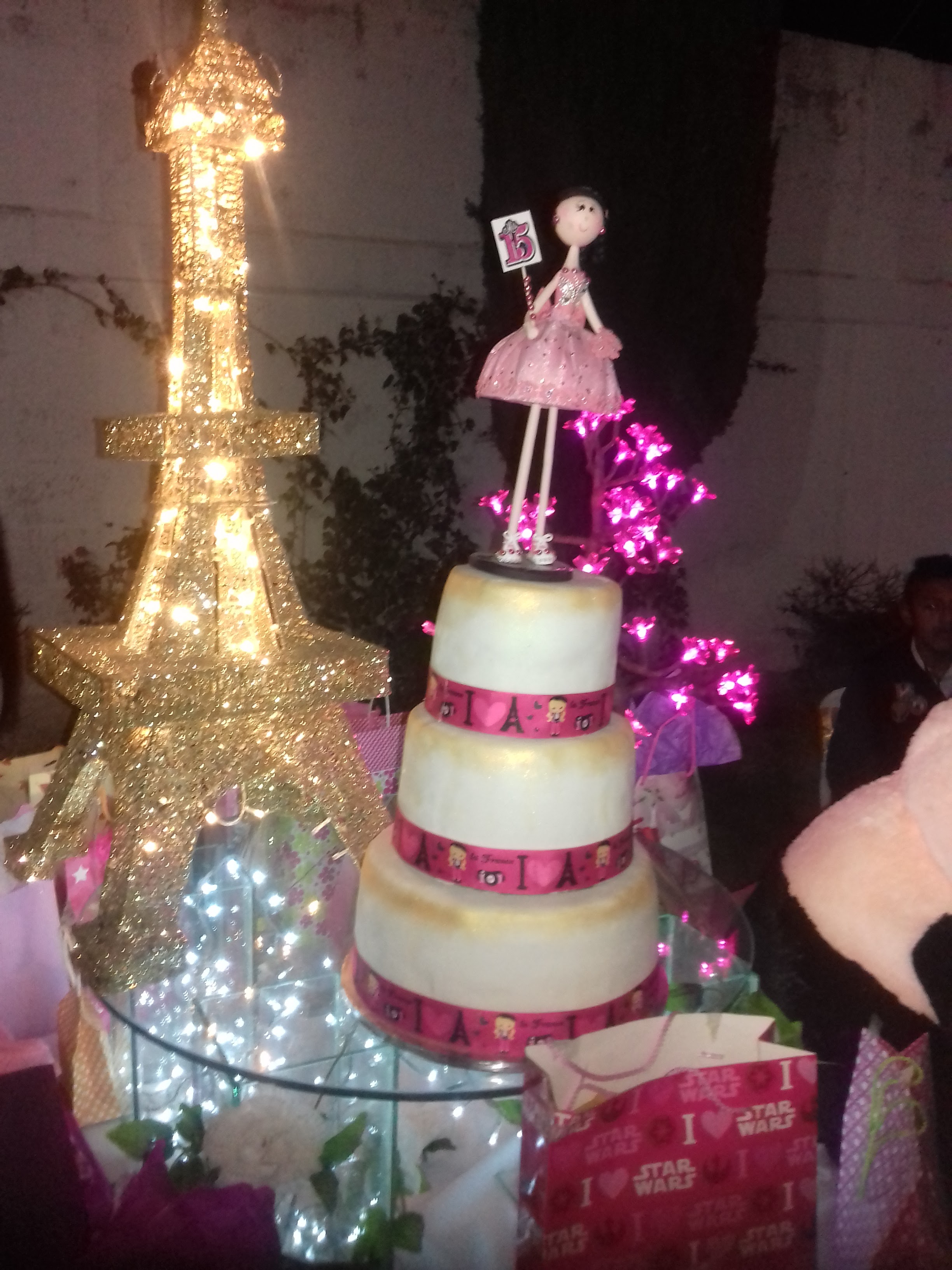 Salon Jardin Los Cisnes image 7