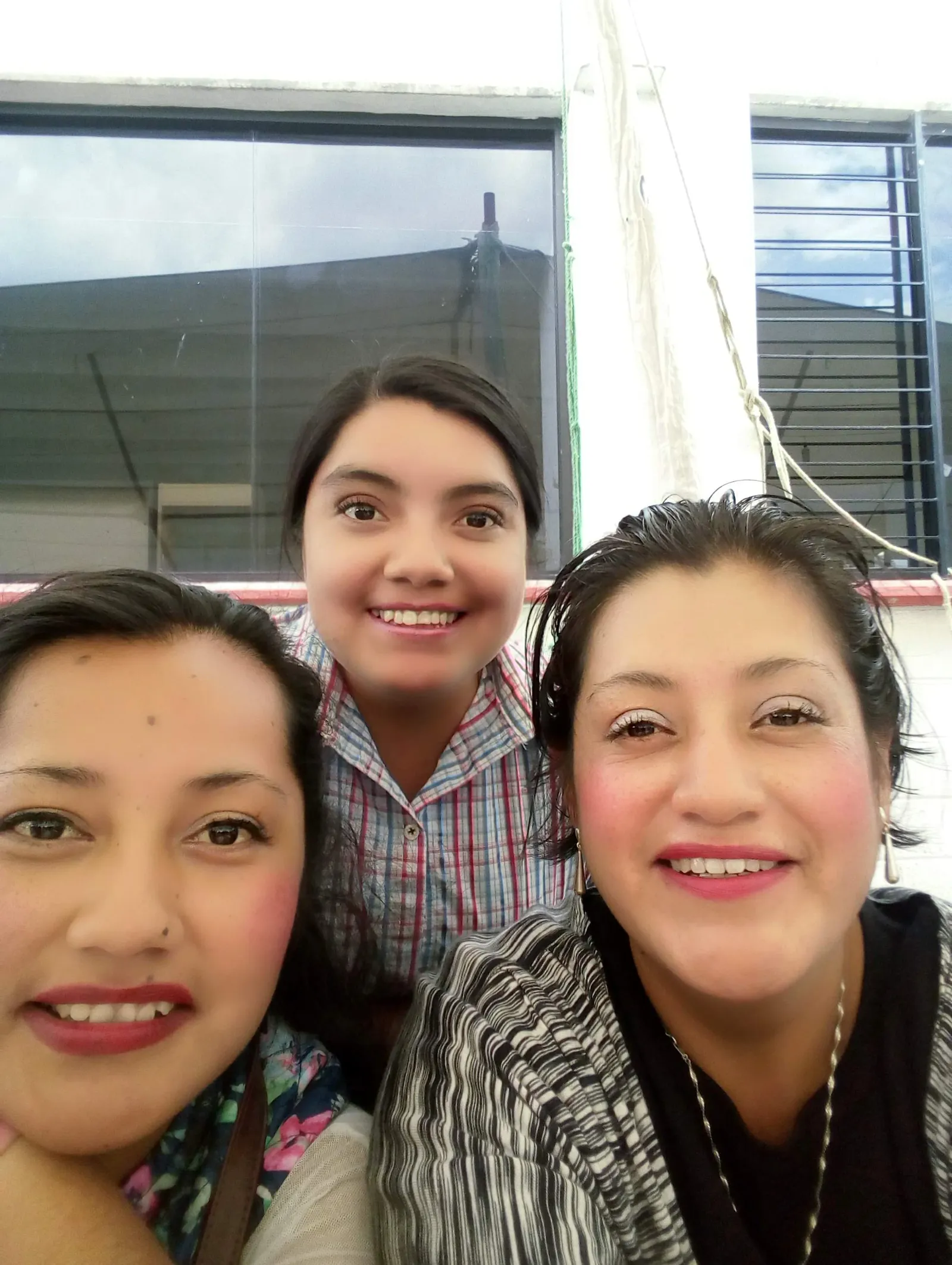 Salon Jardin Los Cisnes image 9
