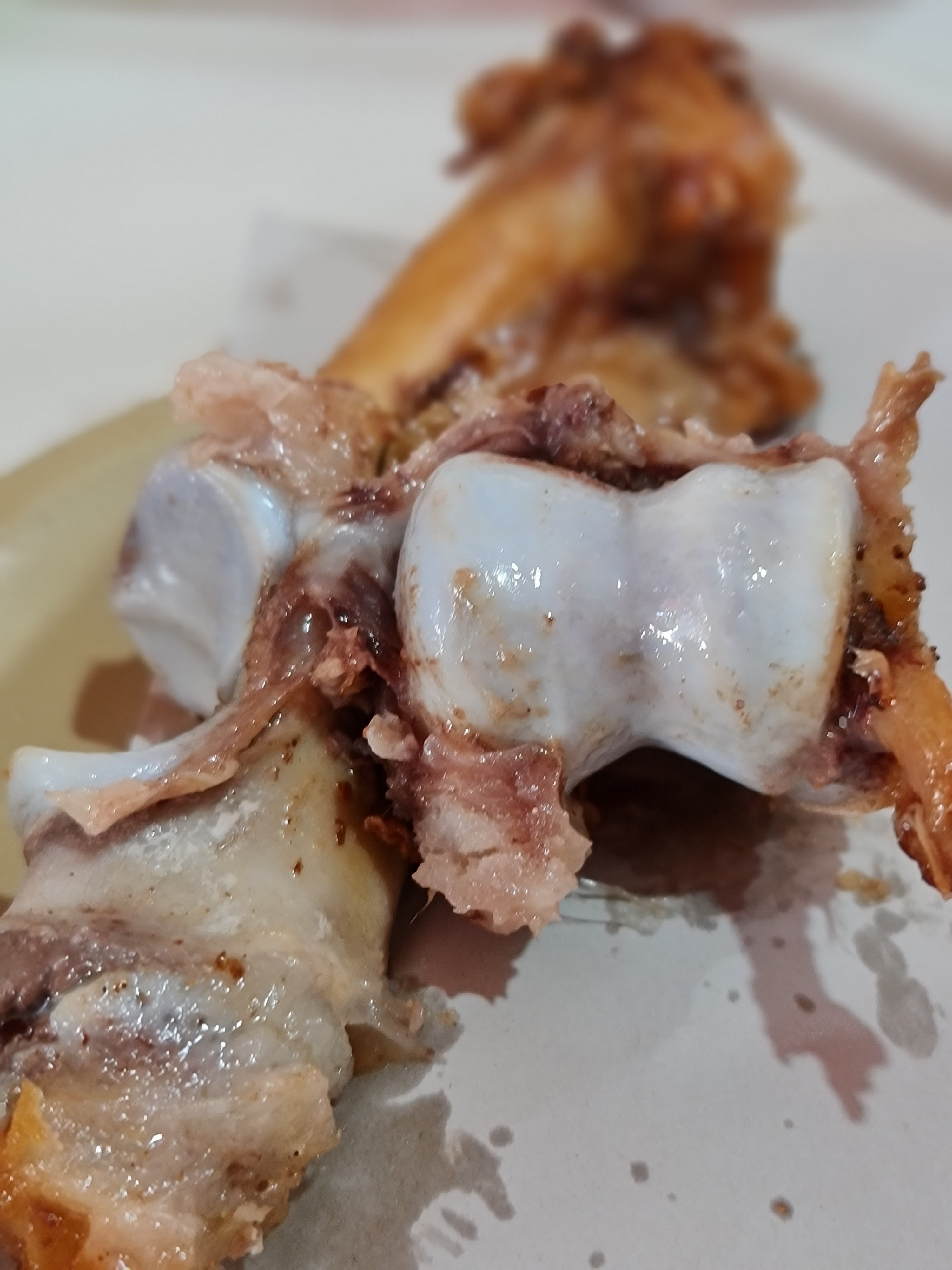 CARNITAS "OCAÑA" image 3