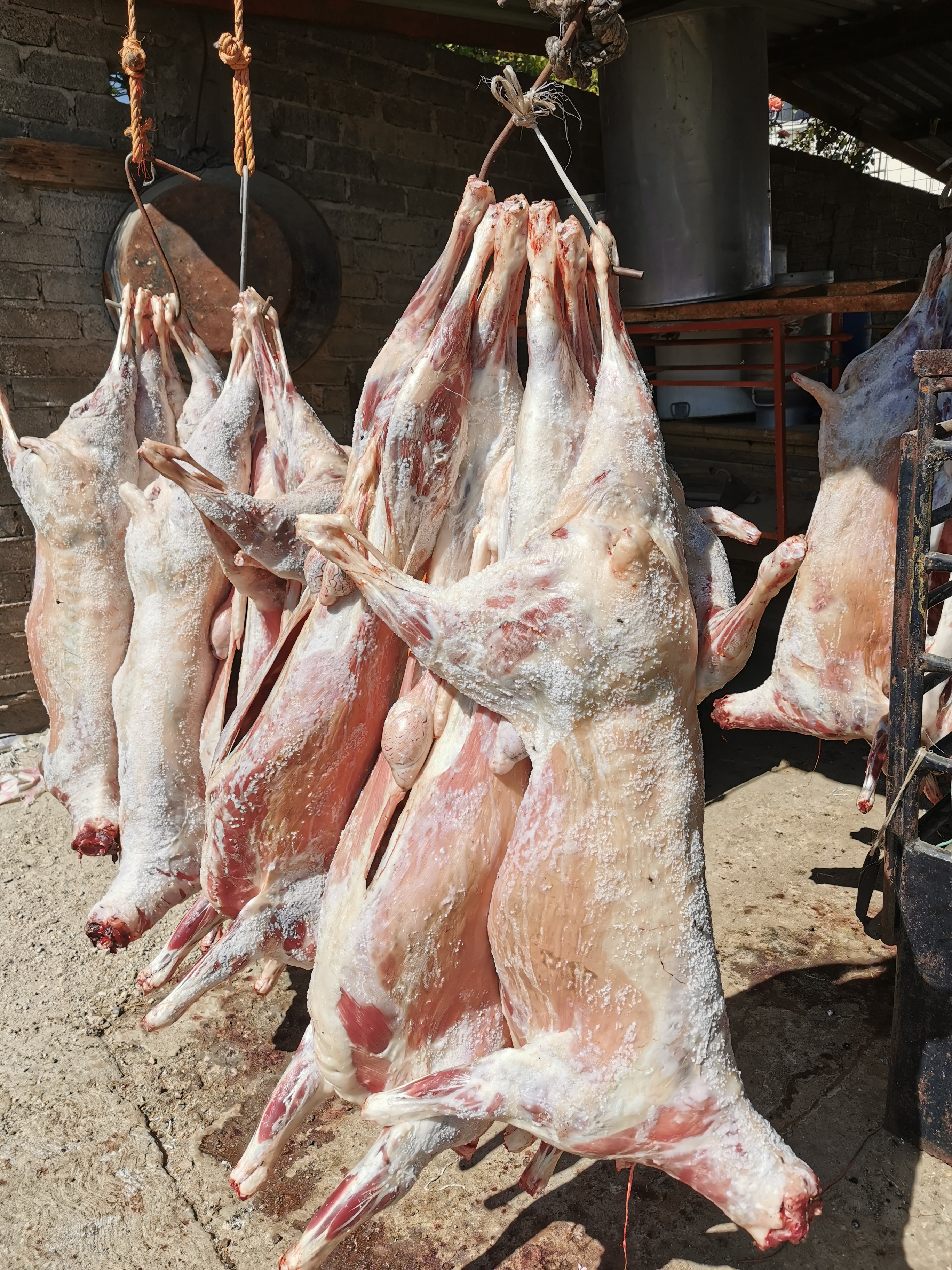 BARBACOA EL TEJADO image 5