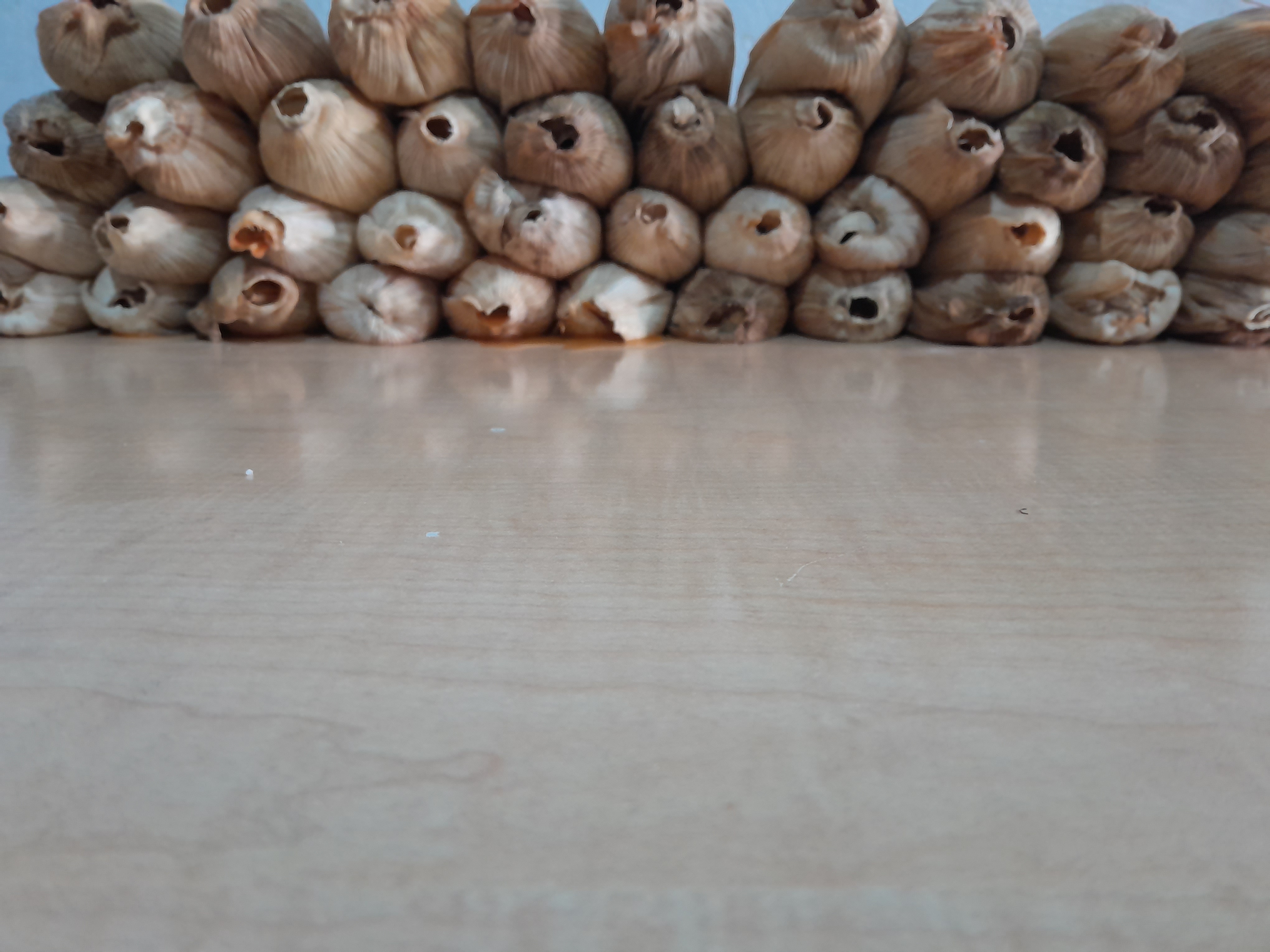 Tamales Doña Blanca image 6