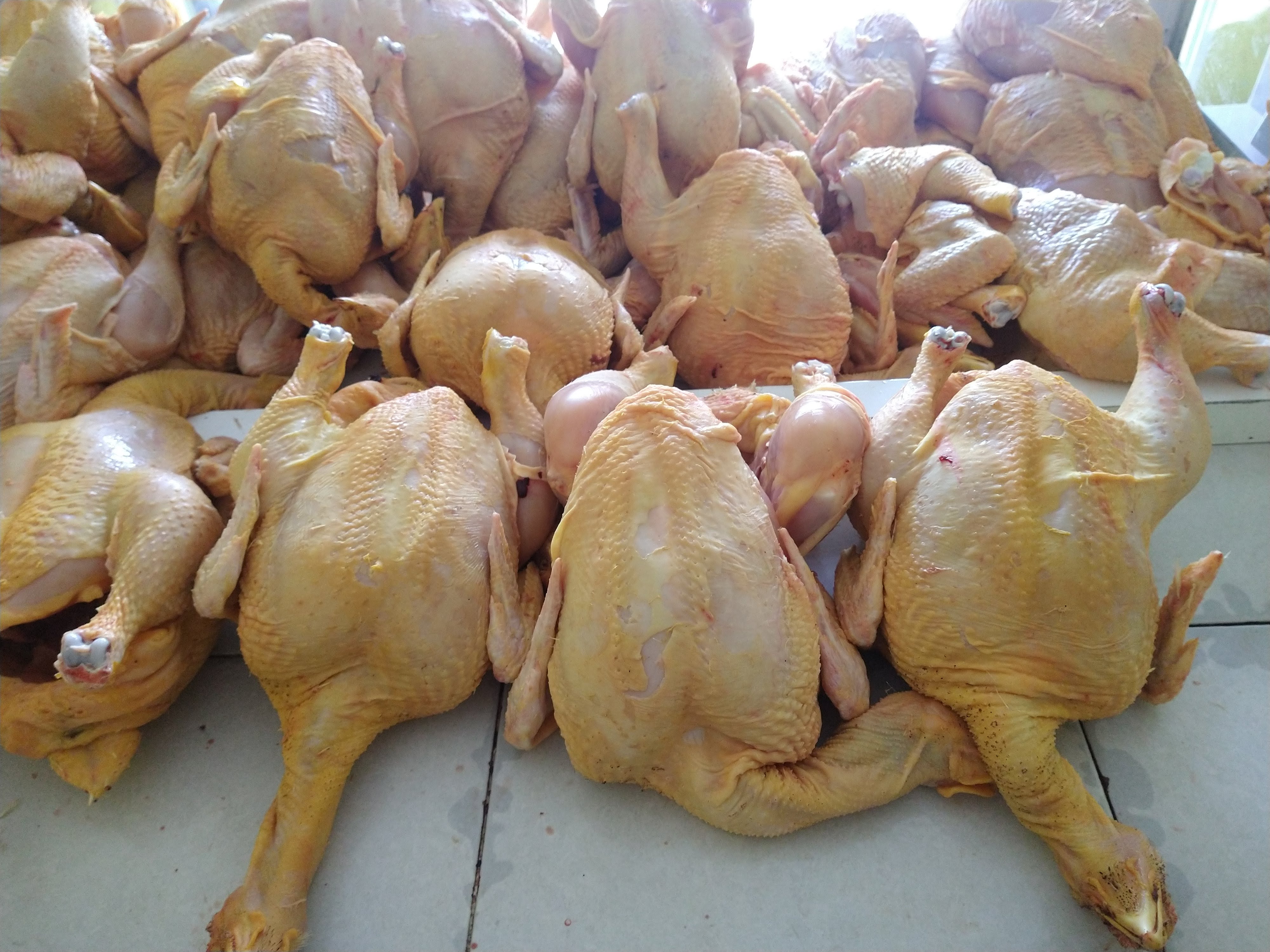 Pollería "piquito de oro" image 4