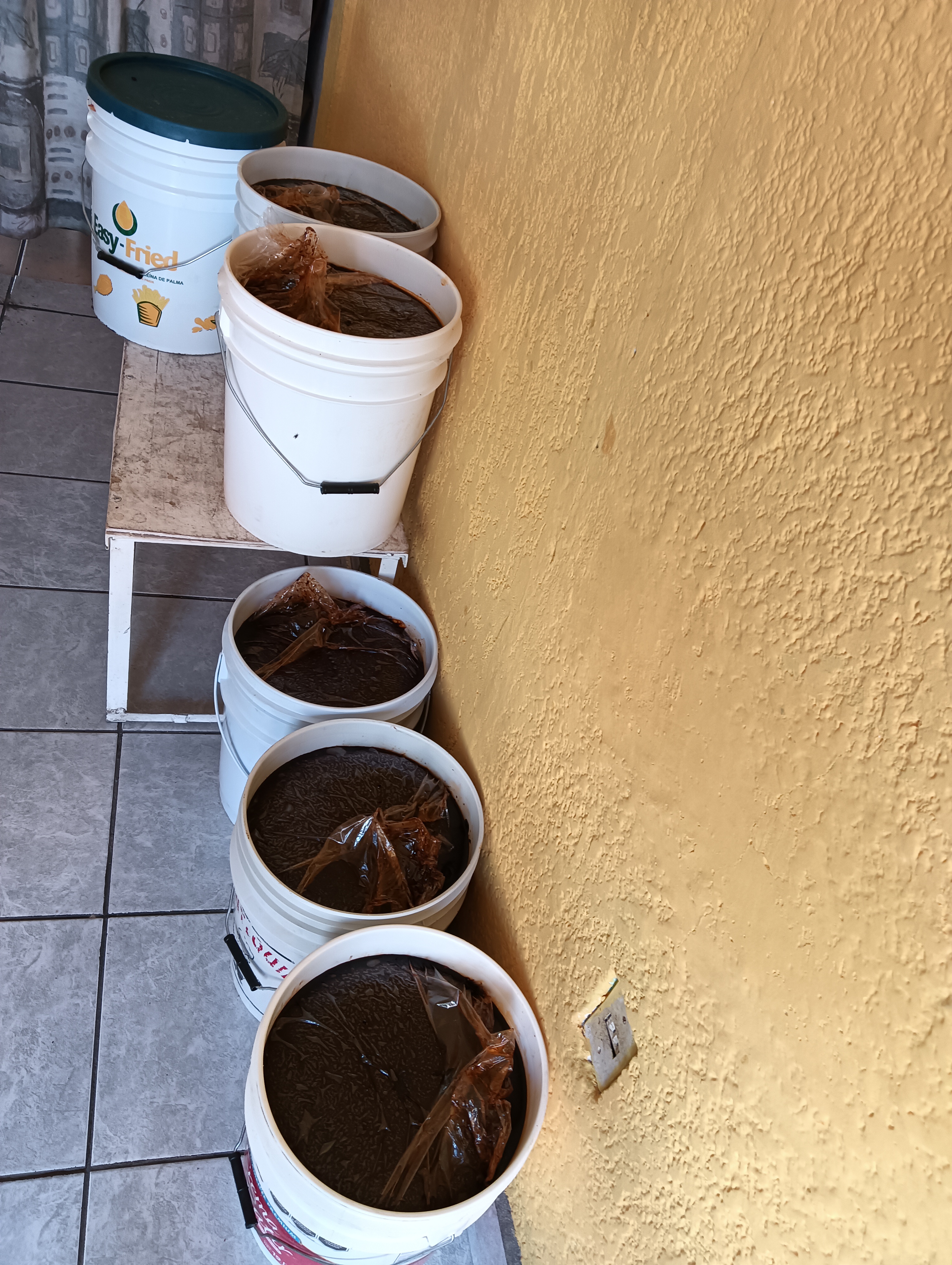 Pollería "piquito de oro" image 9