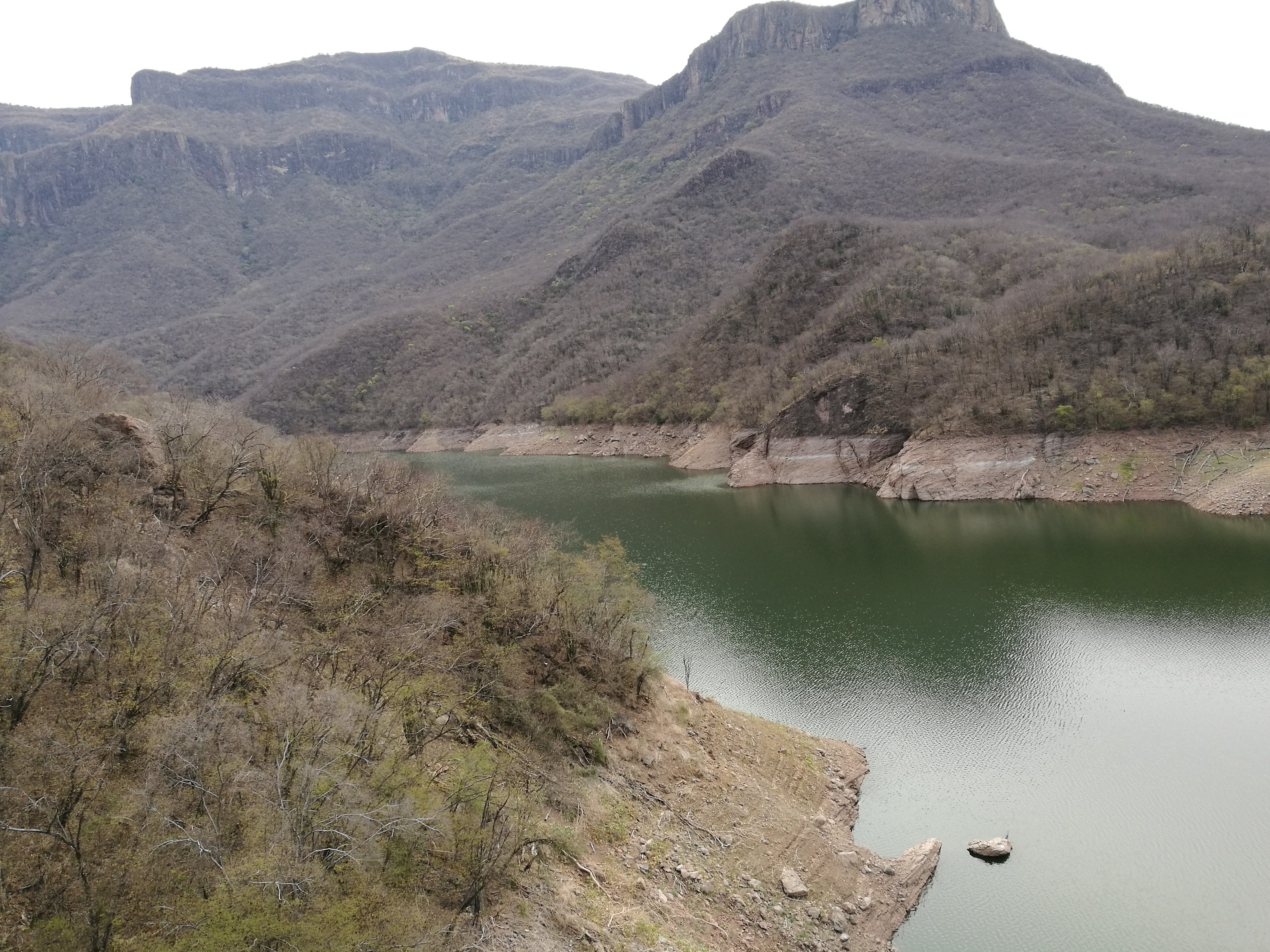 Comida China Hóng Lóng Acayuca image 6