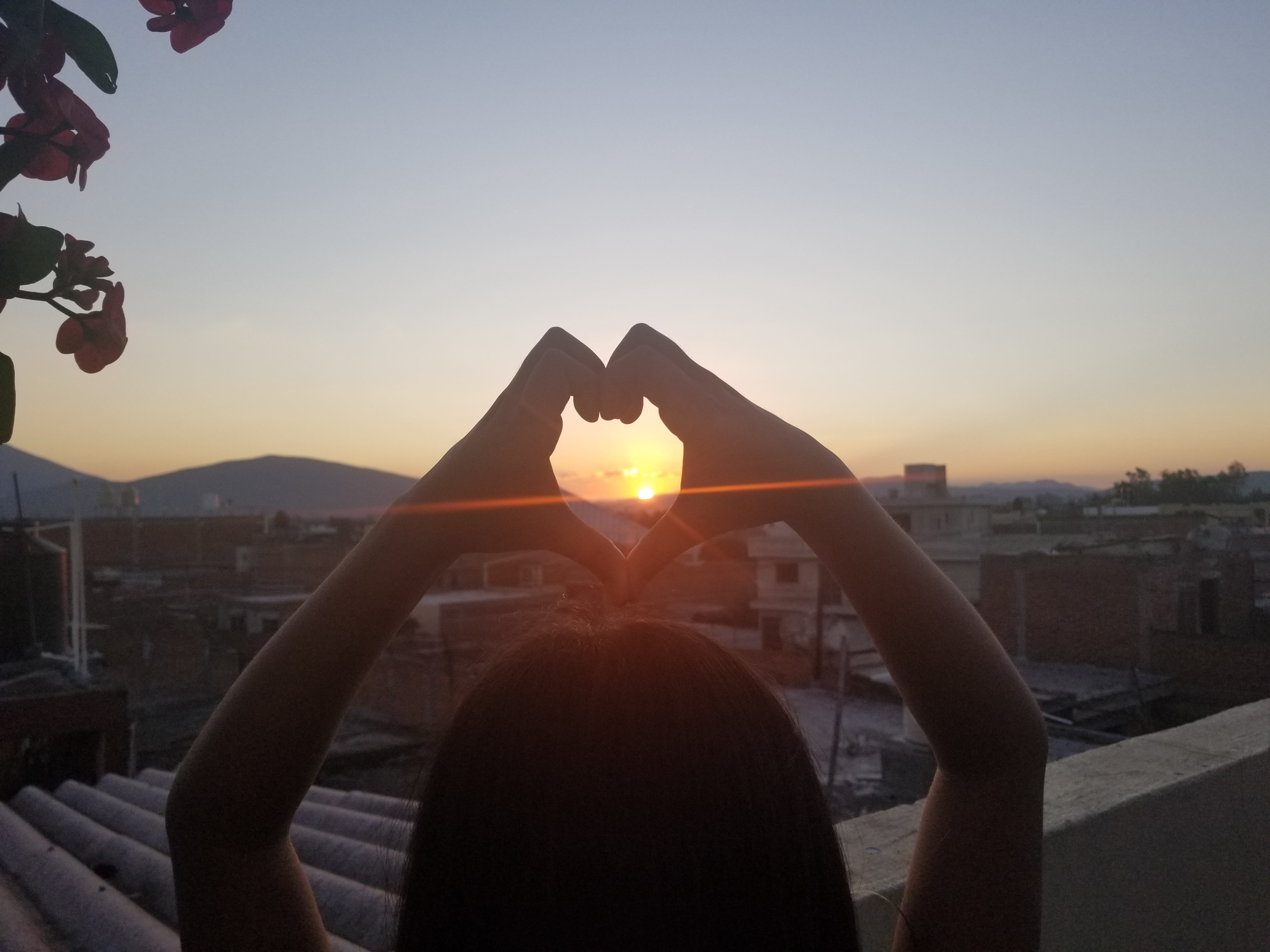 Lonchería Mary Fer image 6