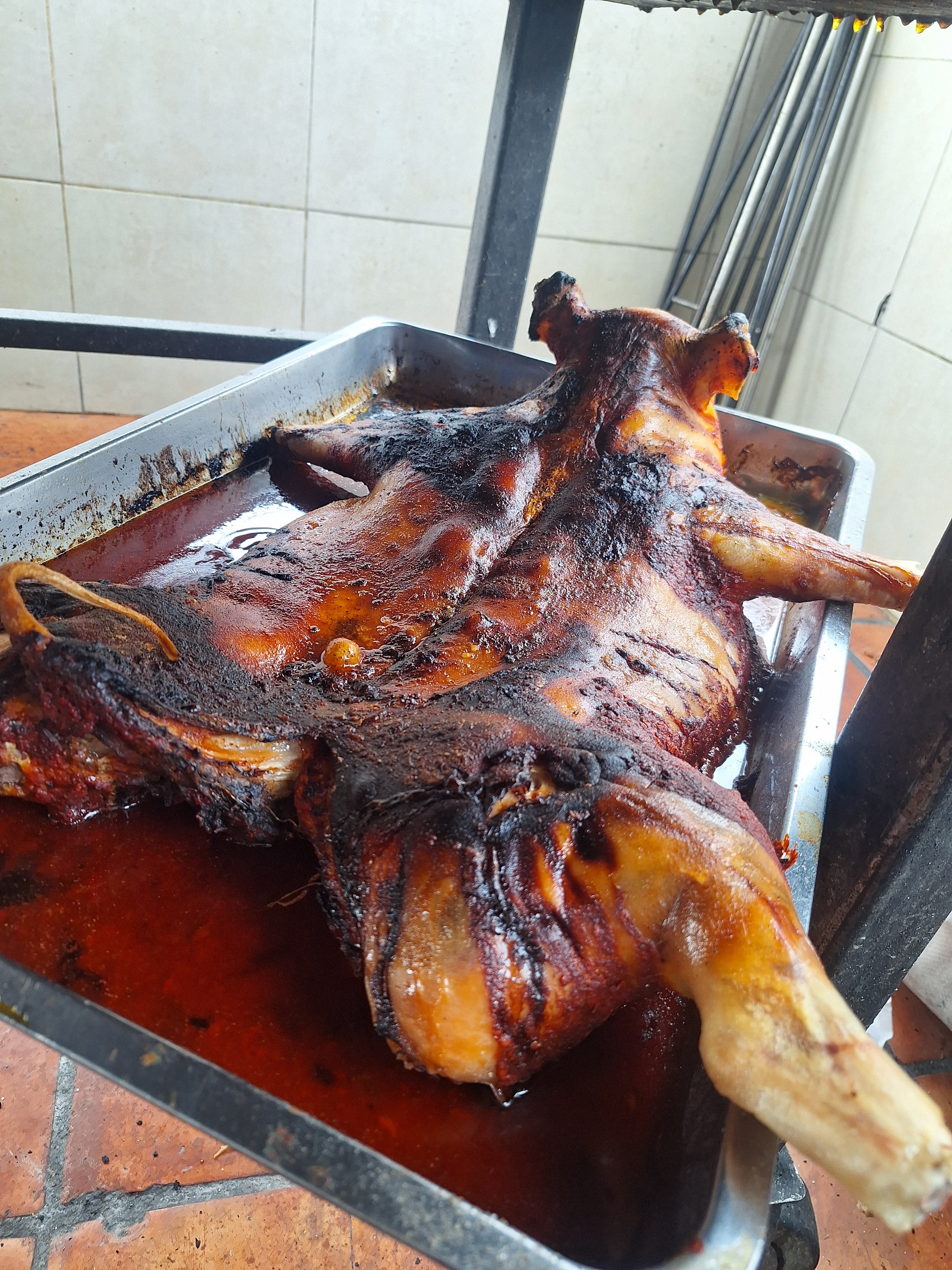 Los Camperos image 7