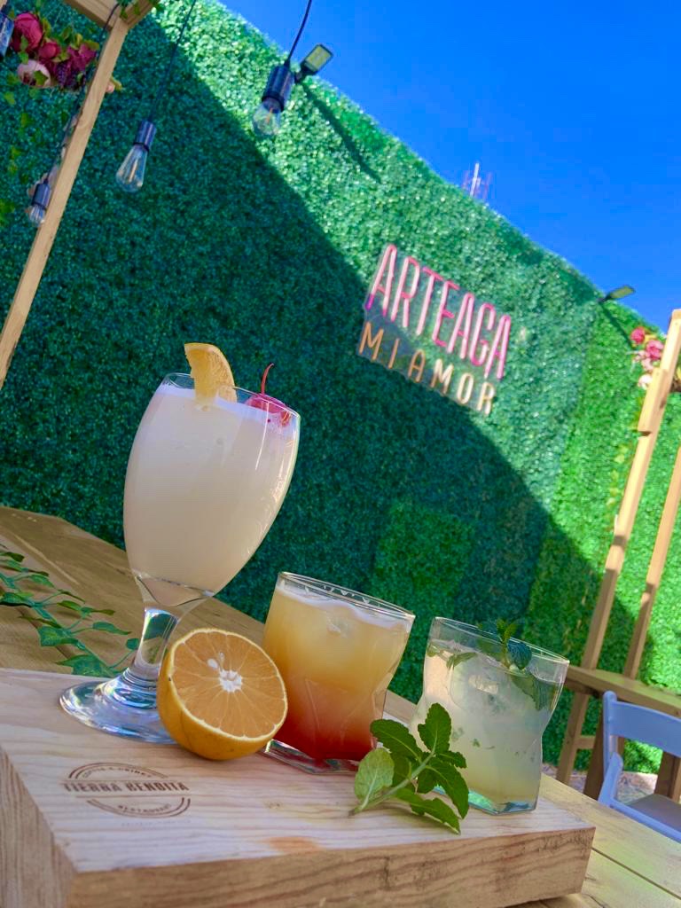 Arteaga Tierra Bendita image 9