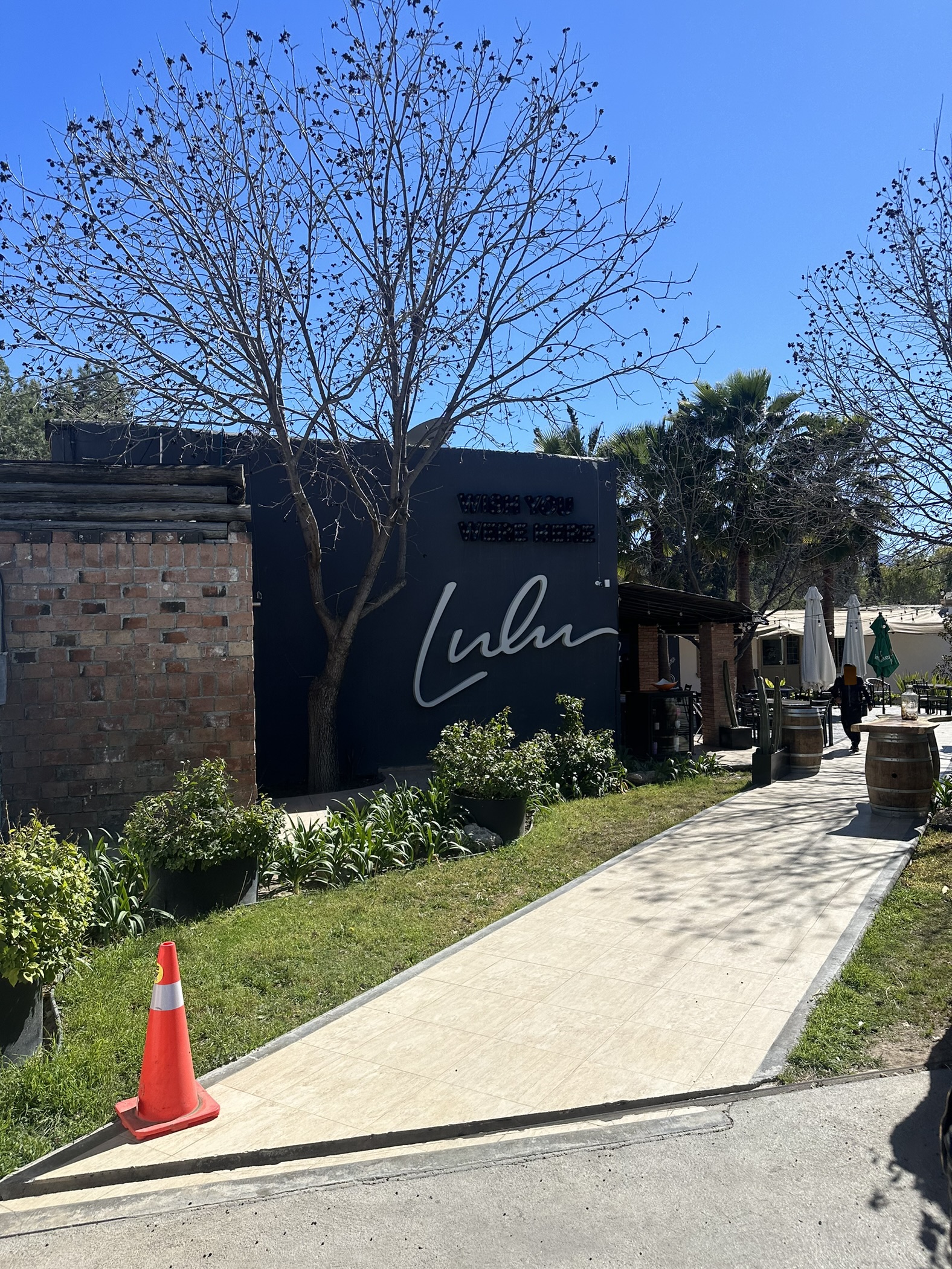 Lulu Cocina Y Vino image 3