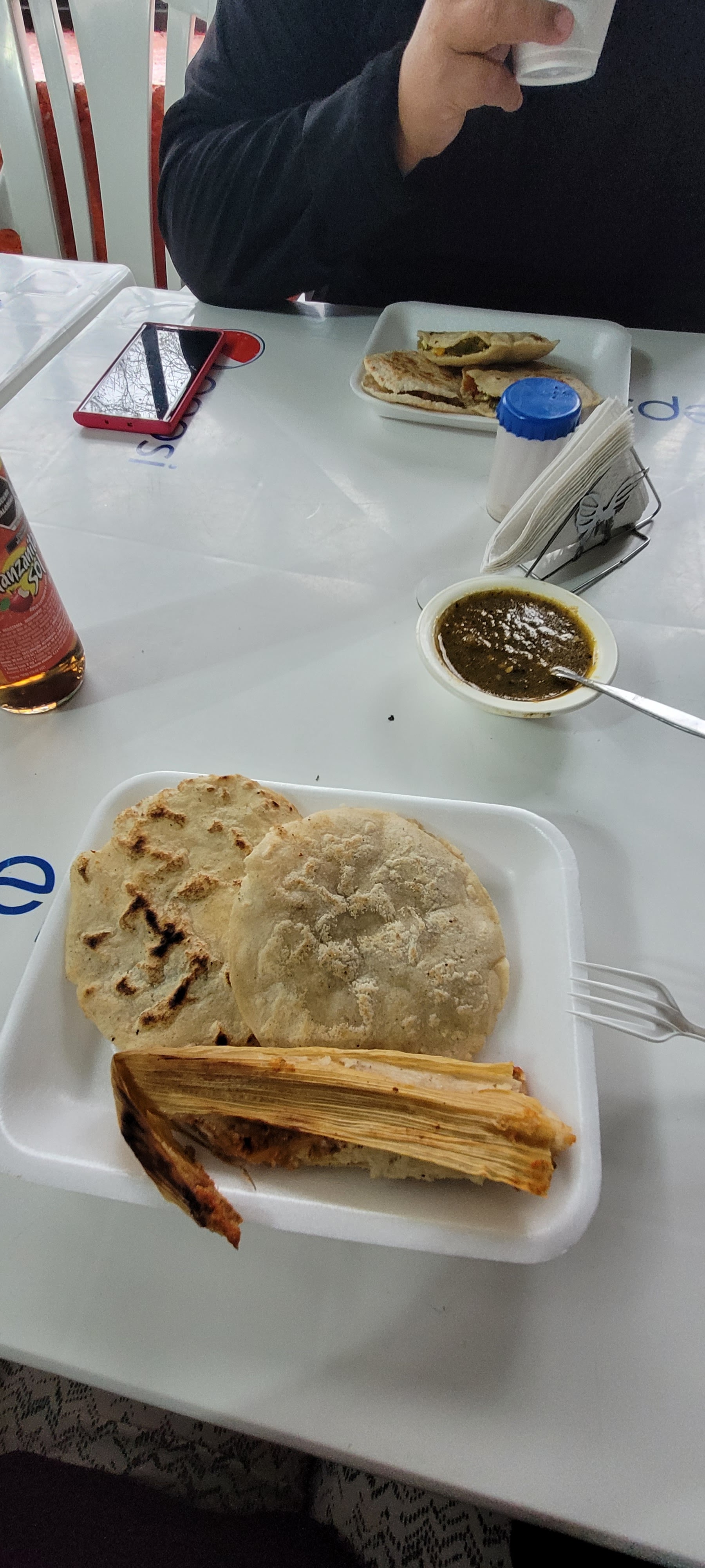Tamales doña martha image 1