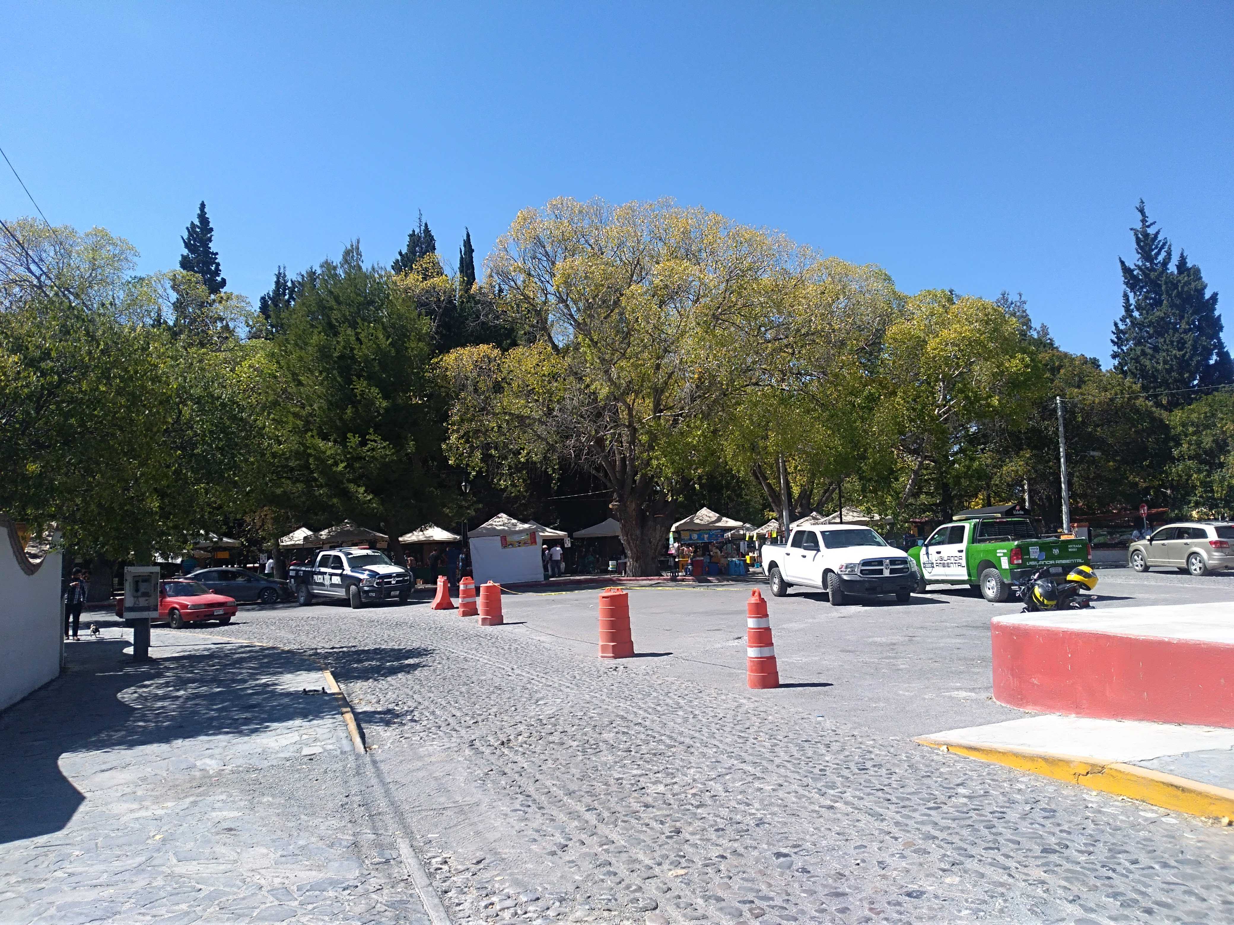 Carnitas El Cristal image 4