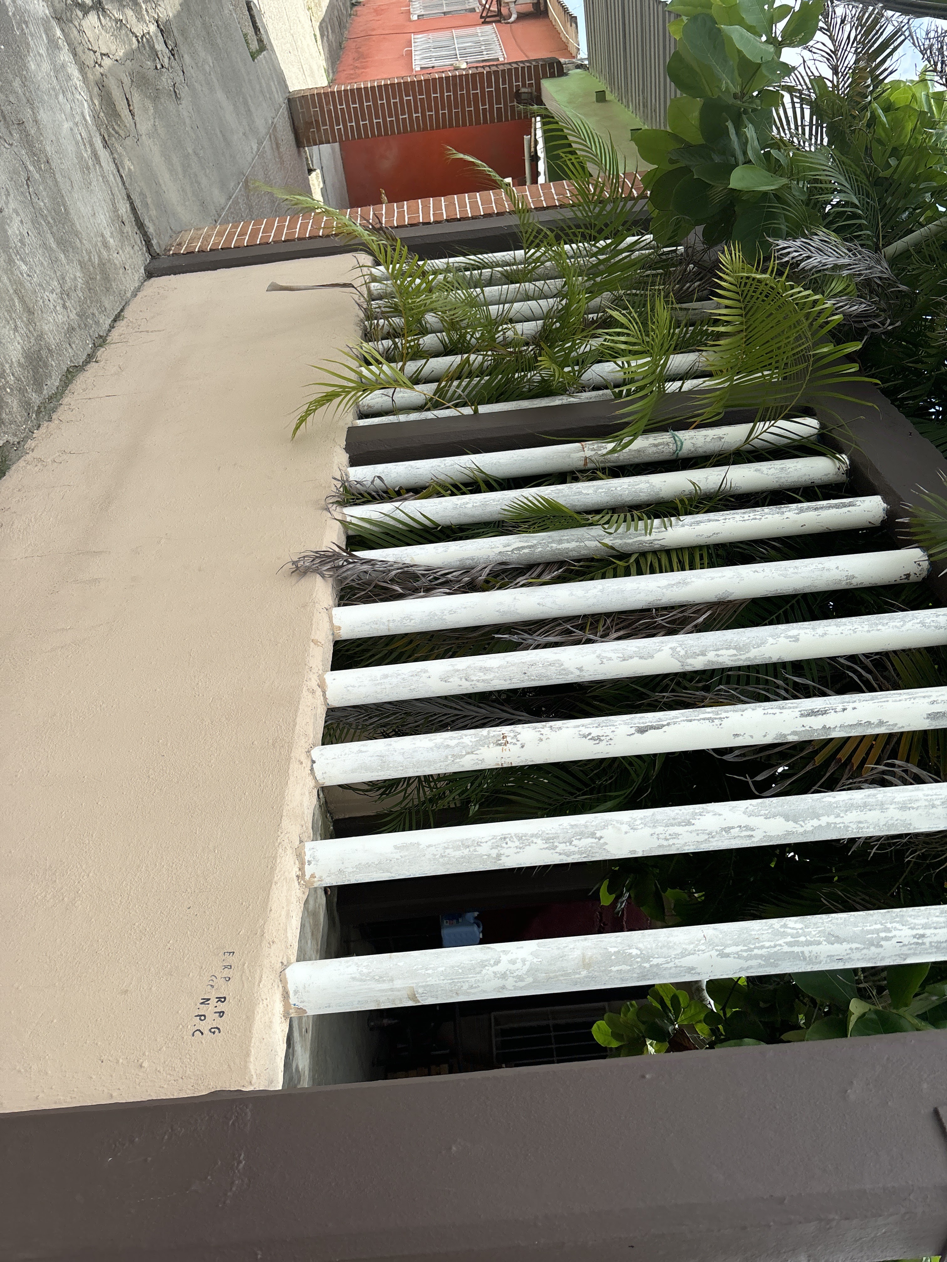 Tlayudas rubi image 2