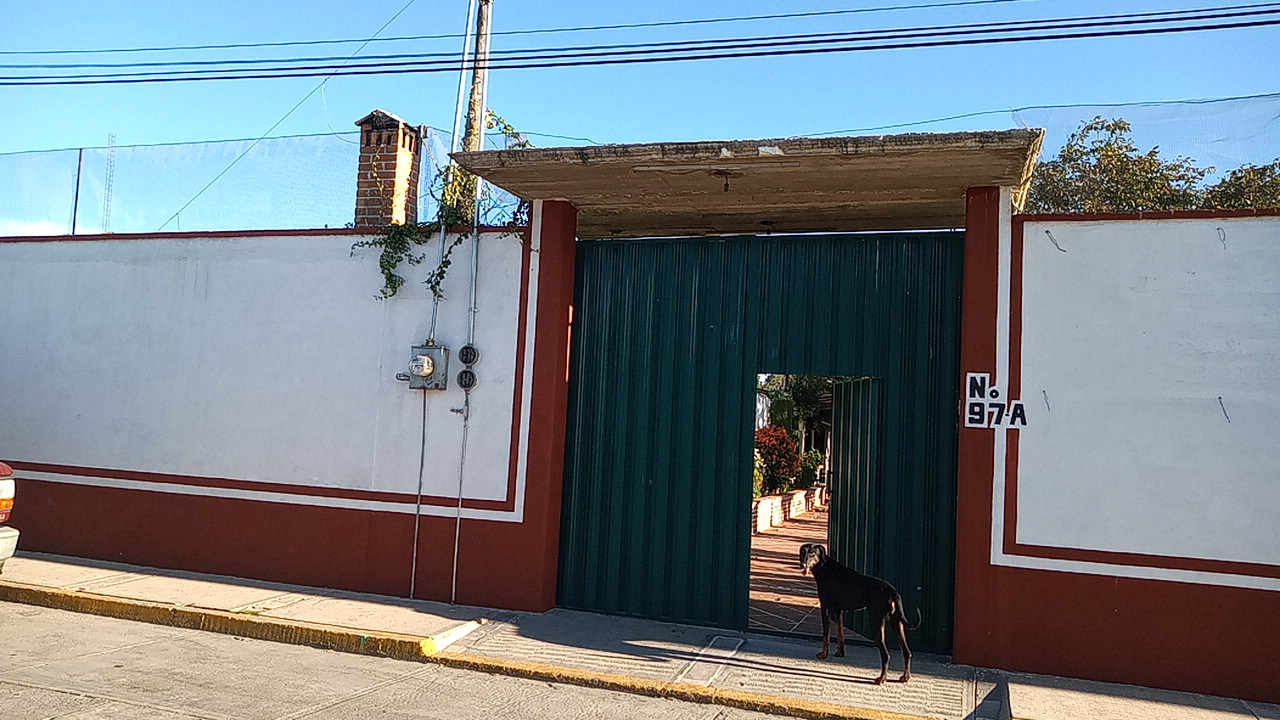 Botanero ¨TRAPICHEO¨ y Quinta ¨Los Feos¨ image 3