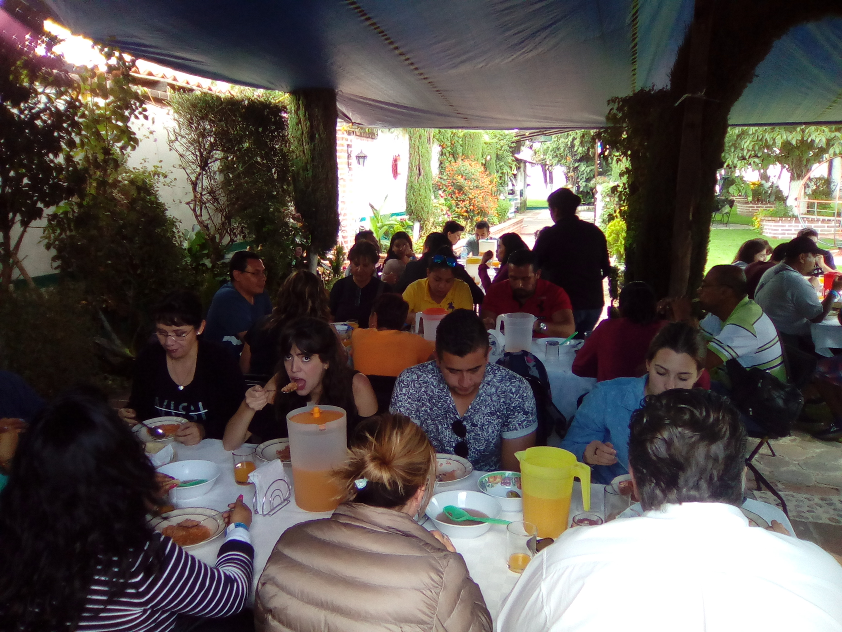 Botanero ¨TRAPICHEO¨ y Quinta ¨Los Feos¨ image 4