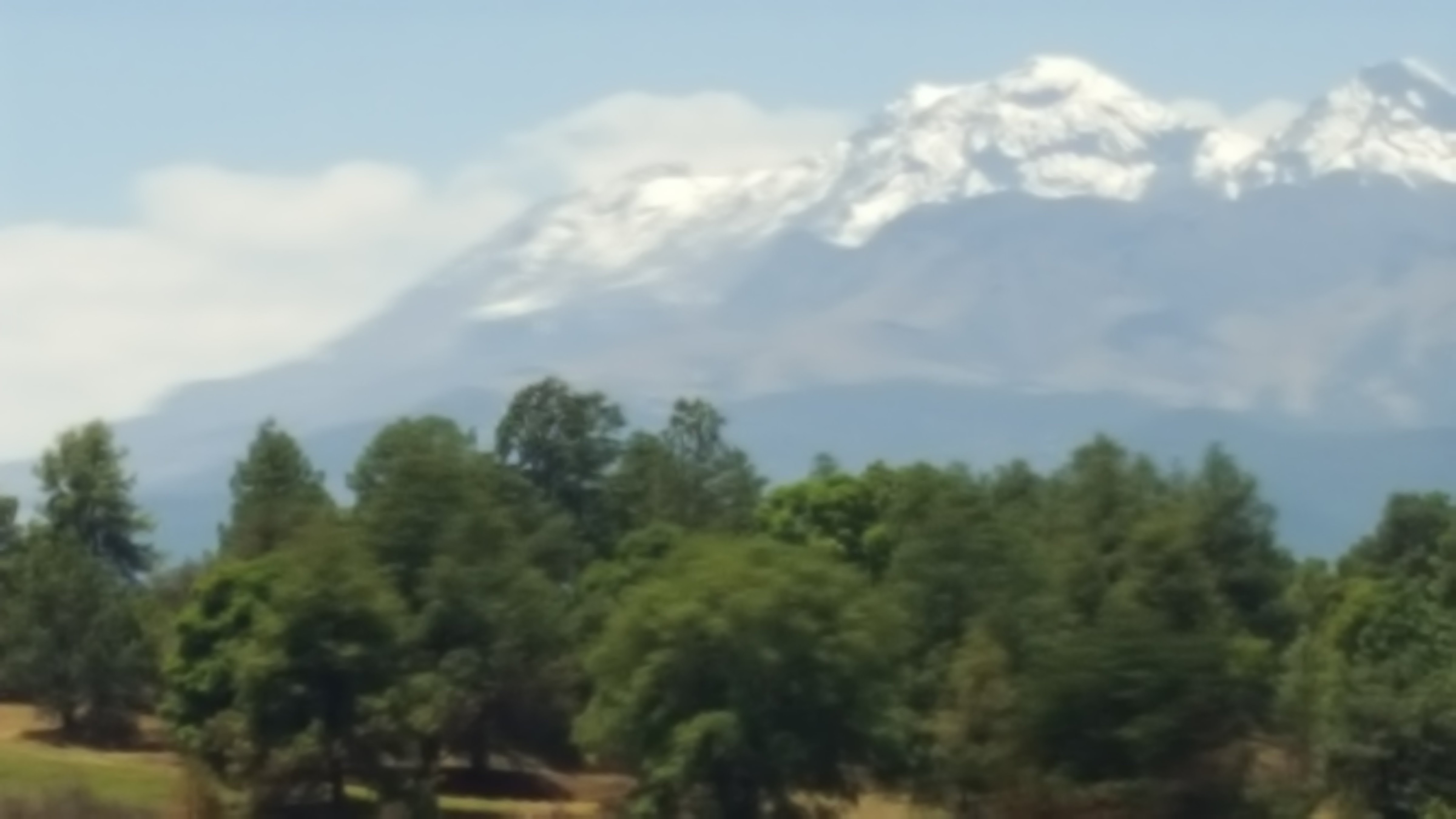 Botanero ¨TRAPICHEO¨ y Quinta ¨Los Feos¨ image 6