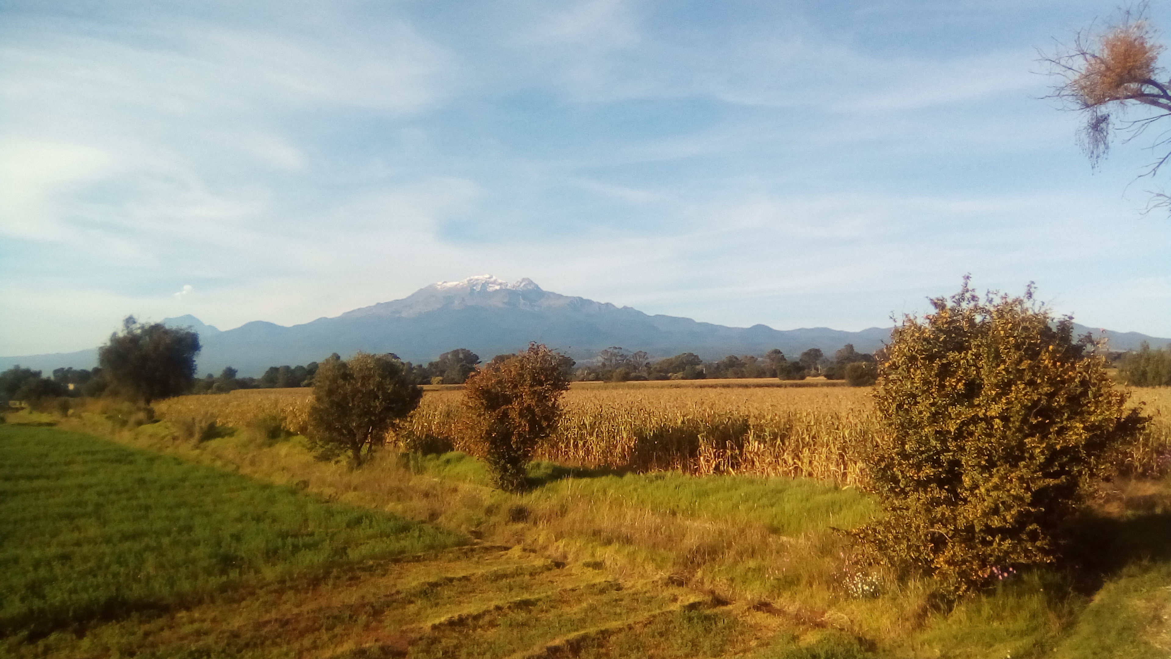 Botanero ¨TRAPICHEO¨ y Quinta ¨Los Feos¨ image 8