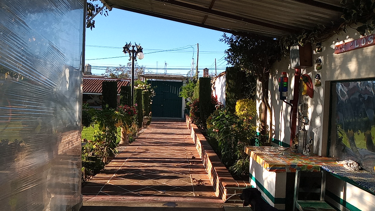 Botanero ¨TRAPICHEO¨ y Quinta ¨Los Feos¨ image 9