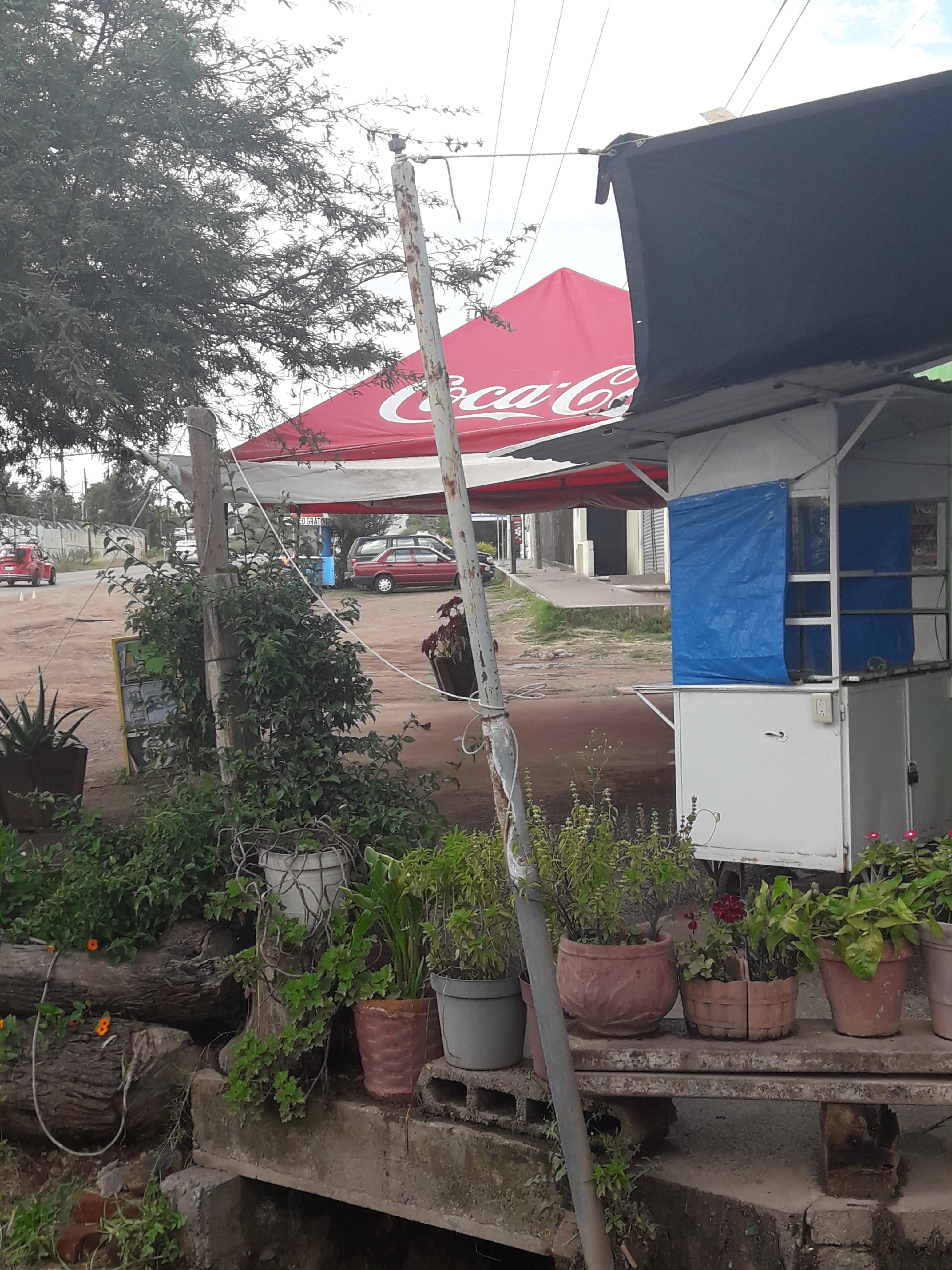 Tortas El Ranchito image 5