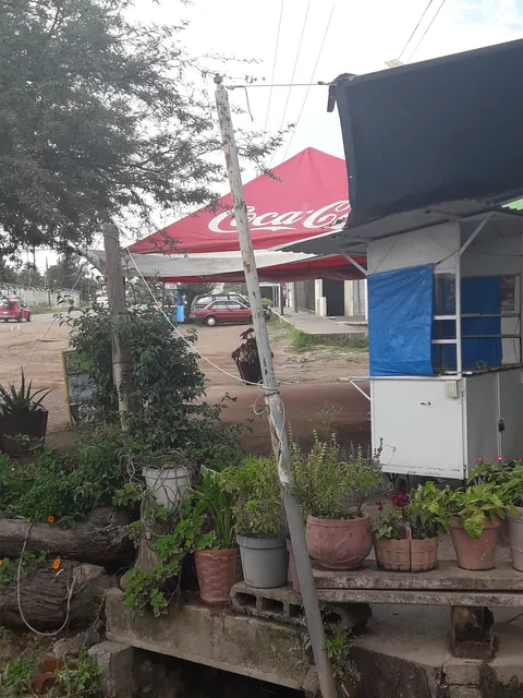 Tortas El Ranchito image 5
