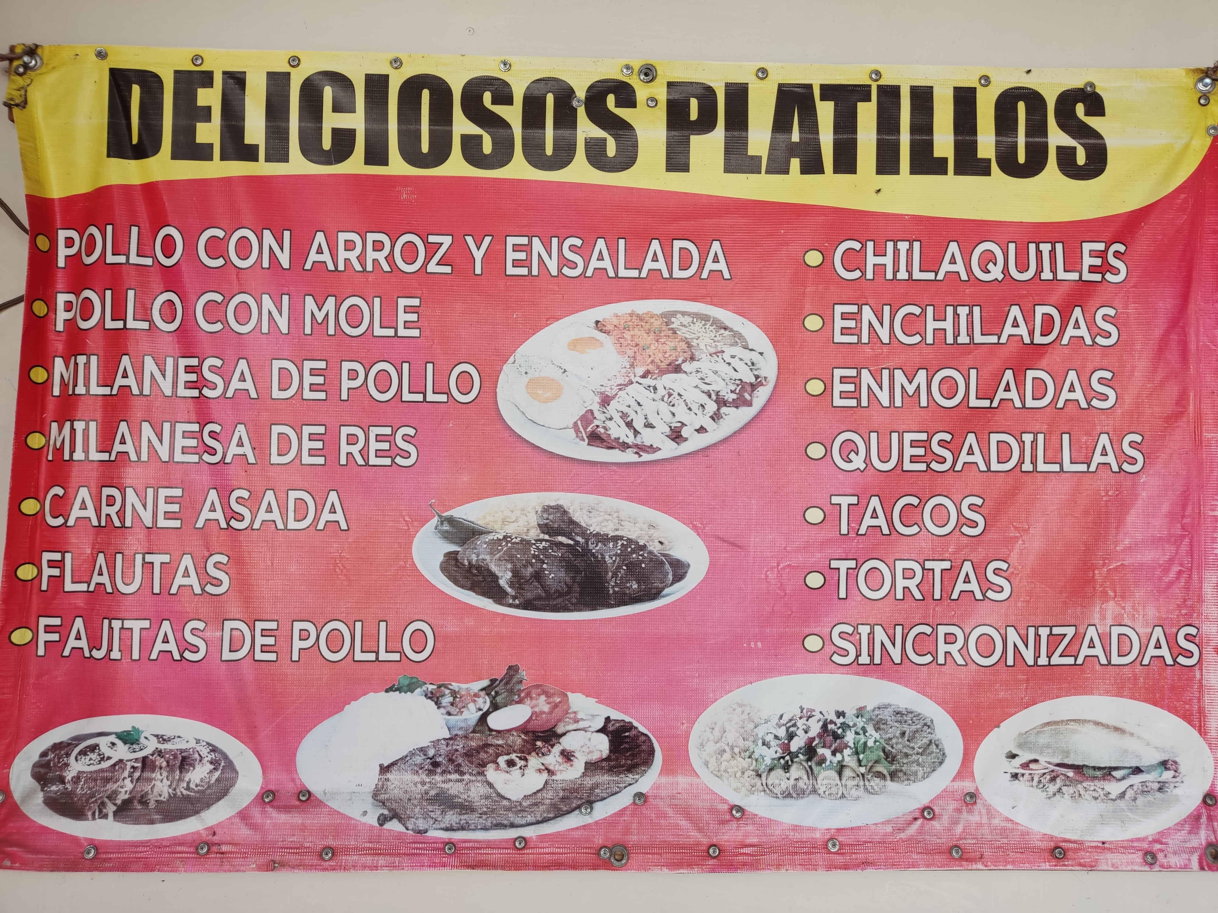 Pollos Robert's image 7