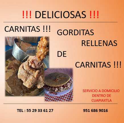 Carnitas y birria “ las delicias chilangas” image 8