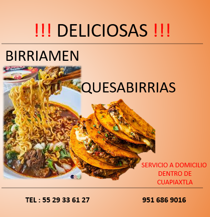 Carnitas y birria “ las delicias chilangas” image 10