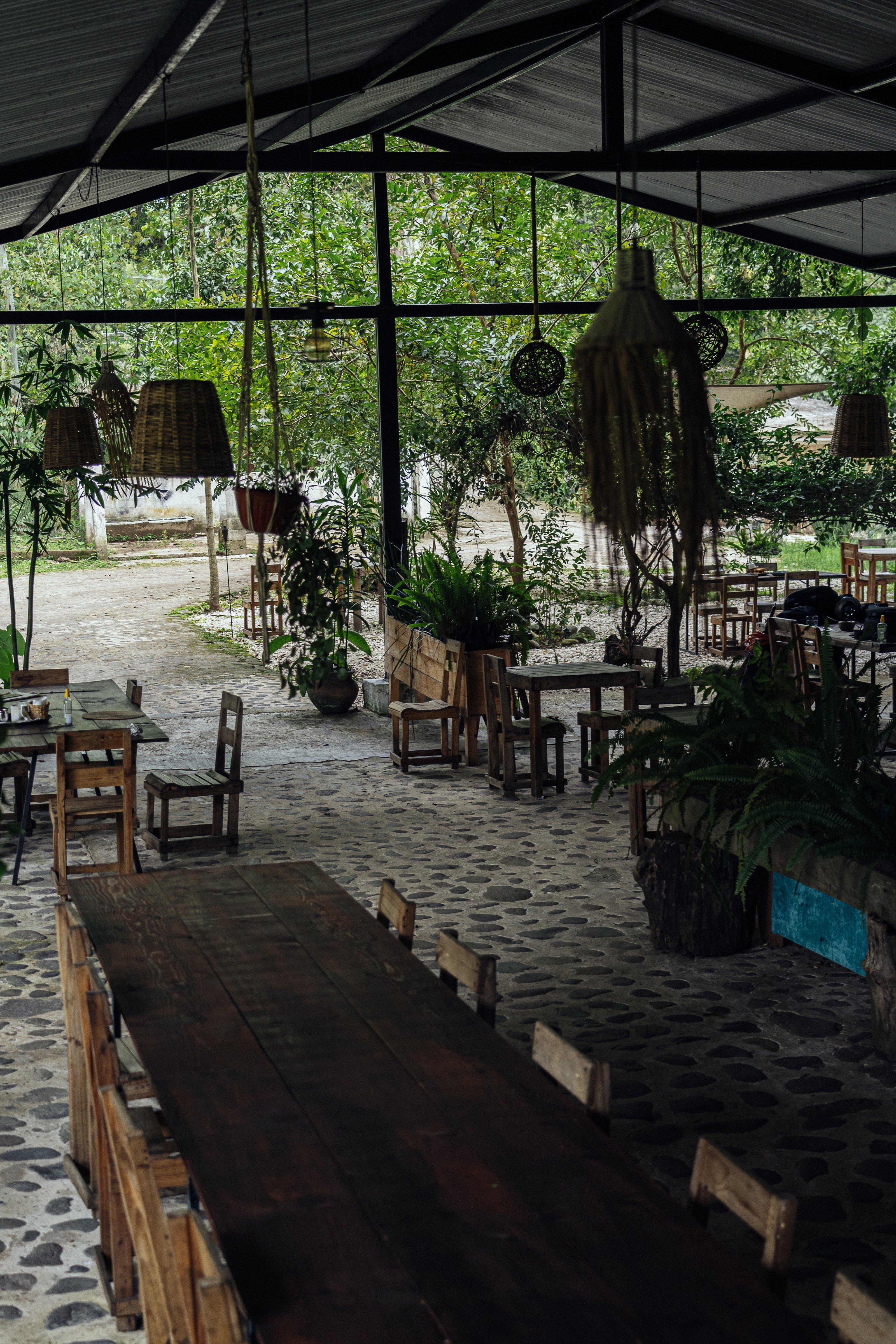 Atemporal | Sabores del Bosque image 1