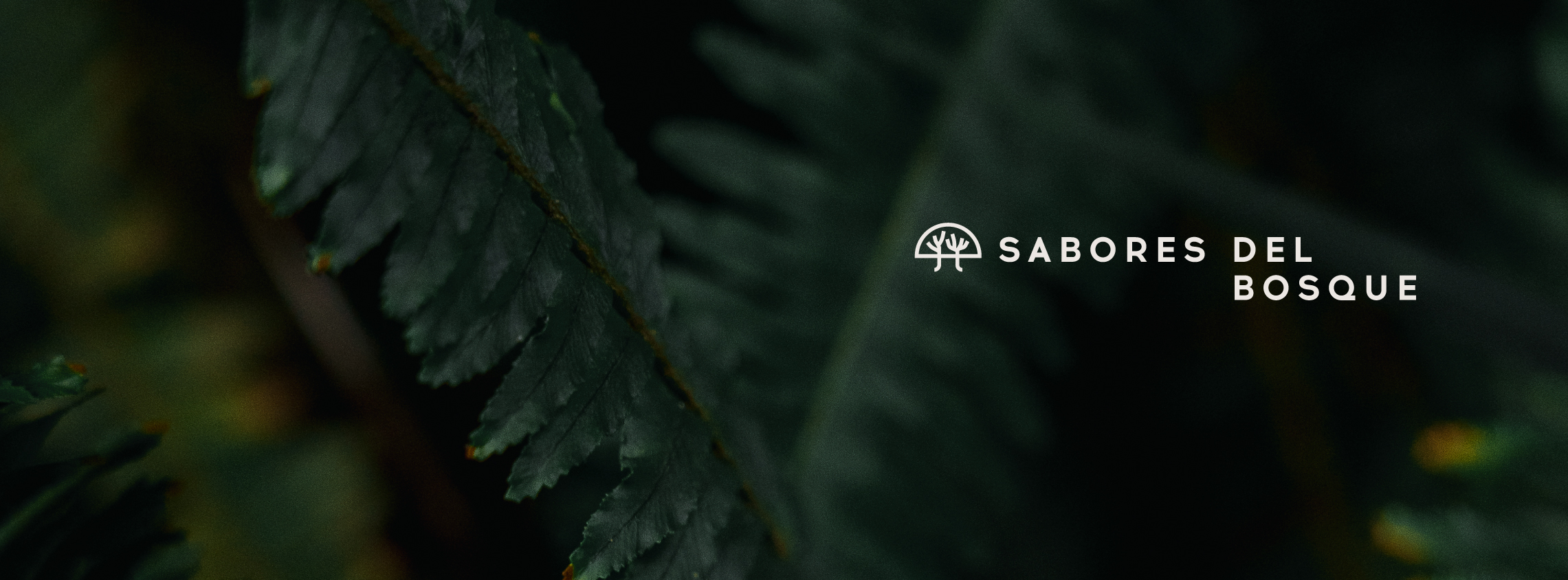 Atemporal | Sabores del Bosque image 3