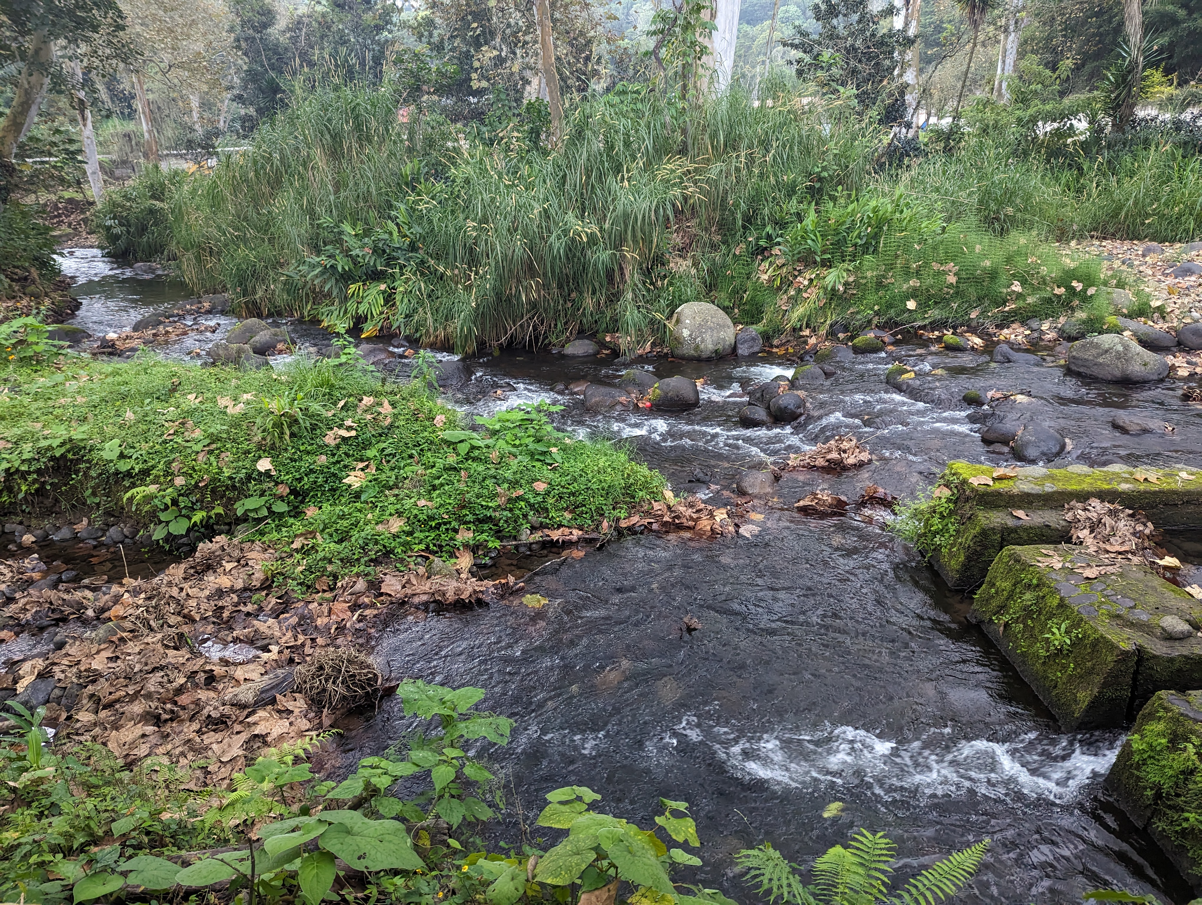 Atemporal | Sabores del Bosque image 8